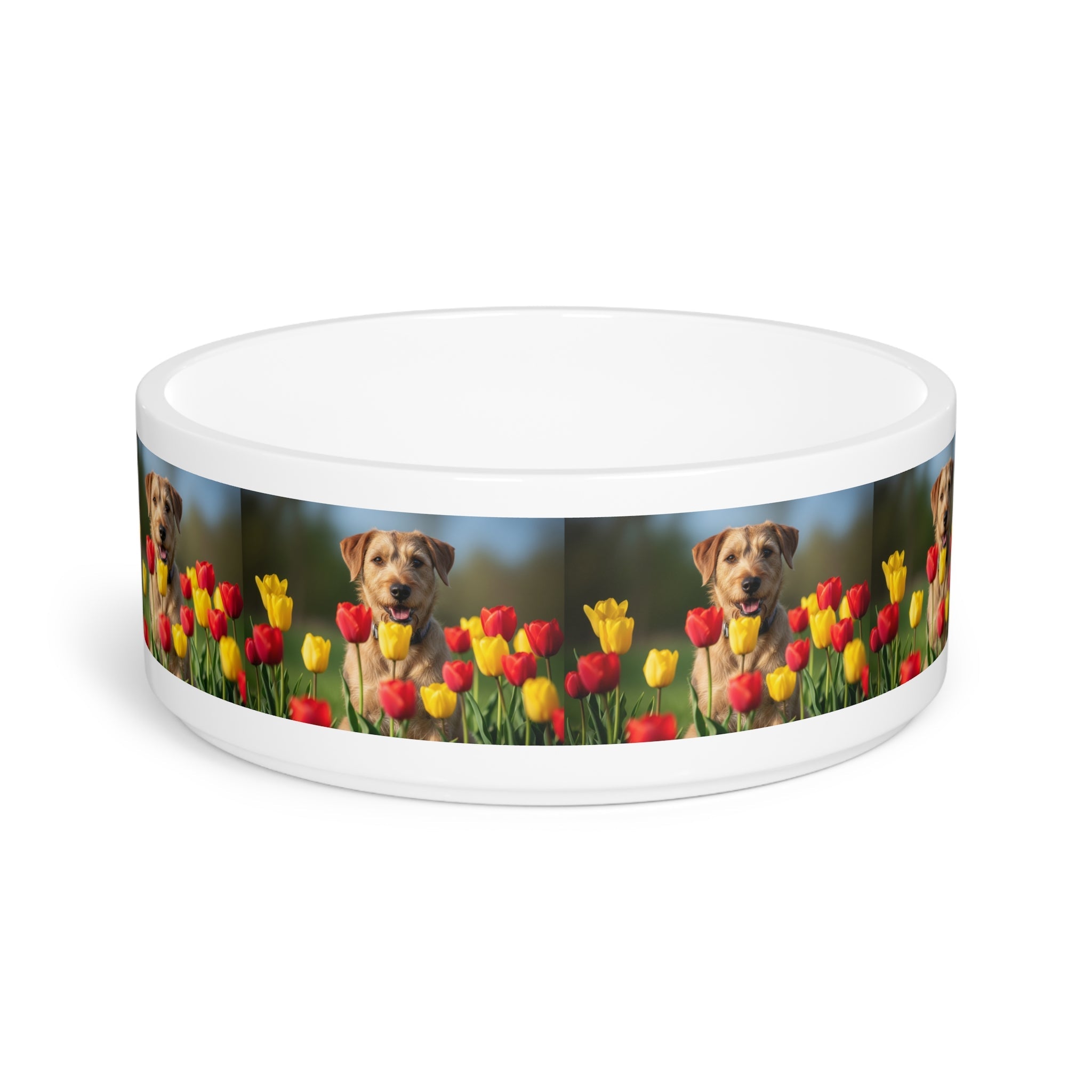 Ceramic Pet Bowl – 16 oz Dog Feeding Bowl
