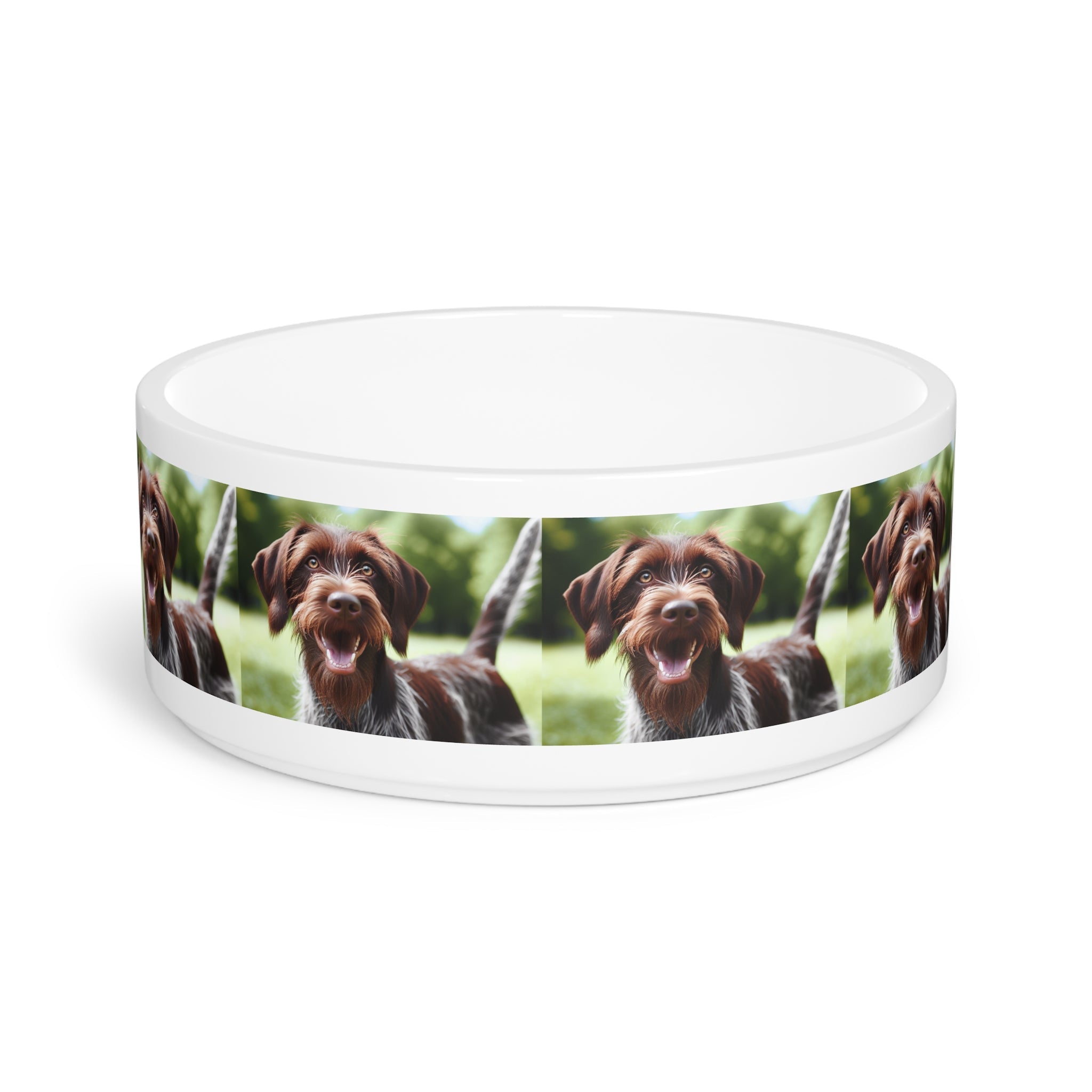 Ceramic Pet Bowl – 16 oz Dog Feeding Bowl