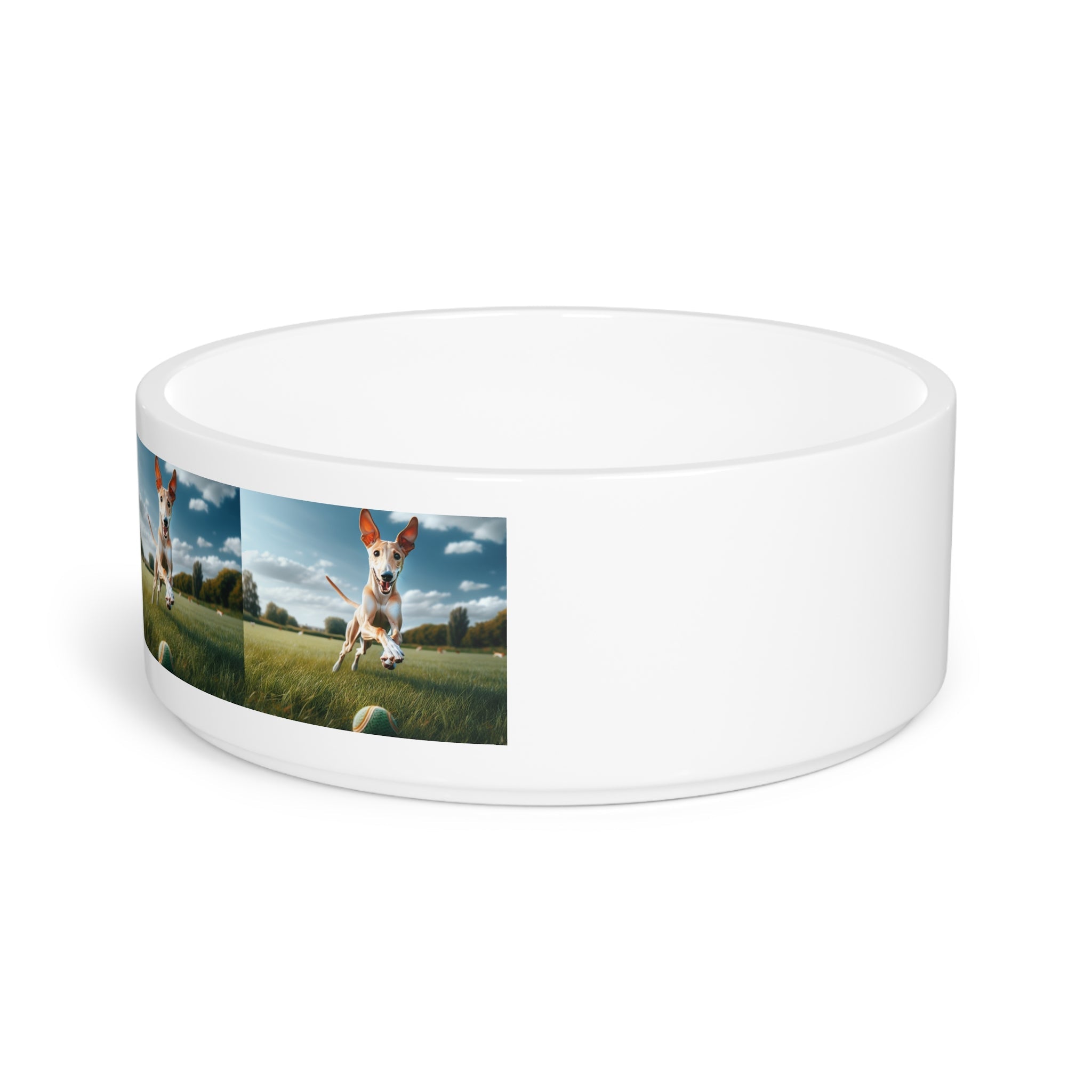 Ceramic Pet Bowl – 16 oz Dog Feeding Bowl