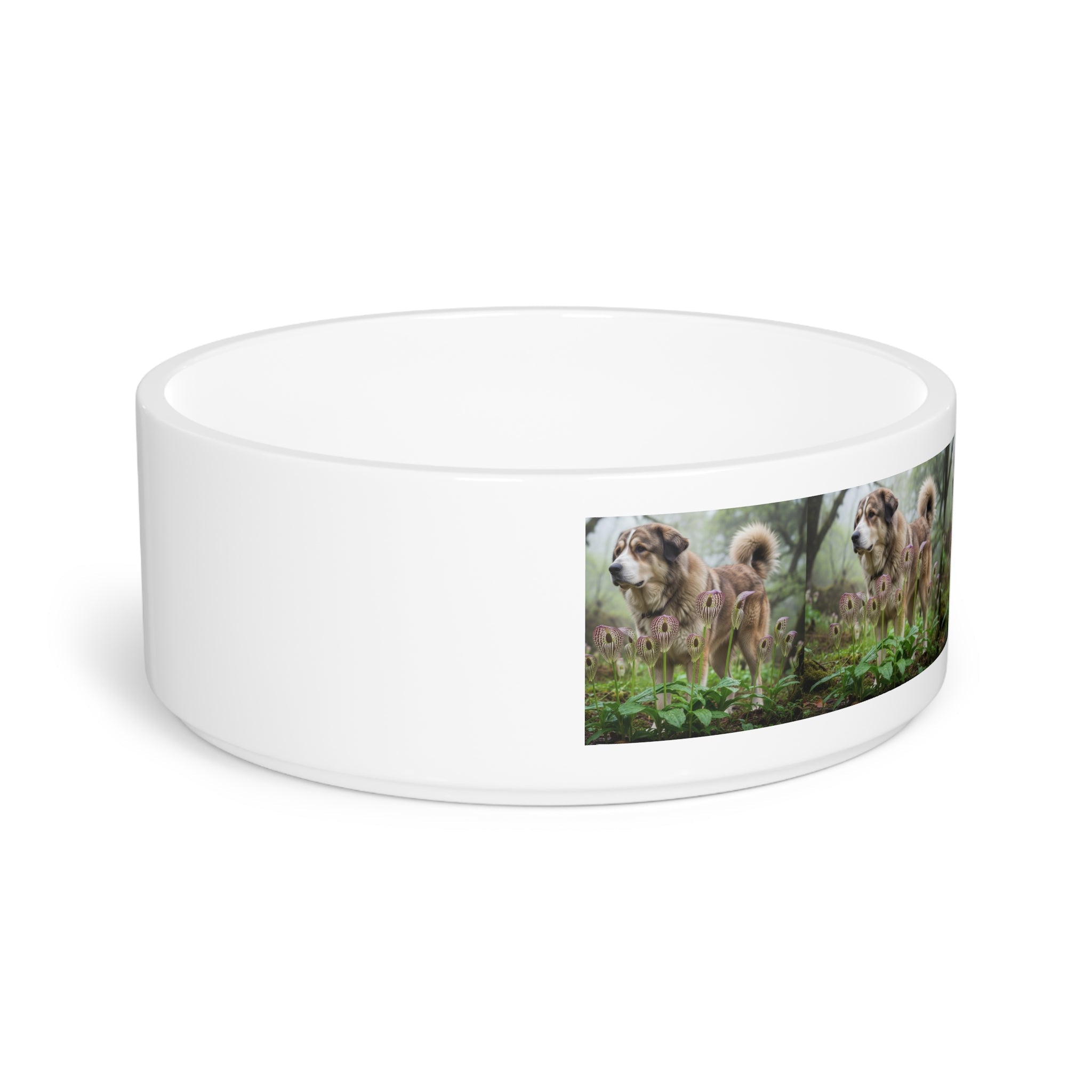 Ceramic Pet Bowl – 16 oz Dog Feeding Bowl
