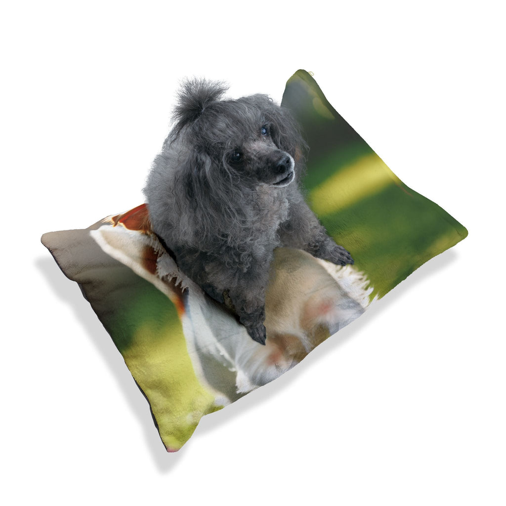 Pet Bed – Plush Dog Bed, 3 Size Options