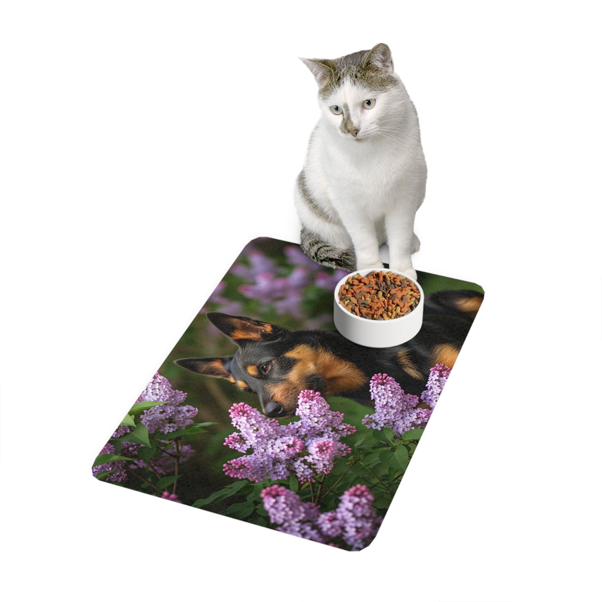 Non-Slip Pet Food Mat – Waterproof Feeding Mat for Dogs
