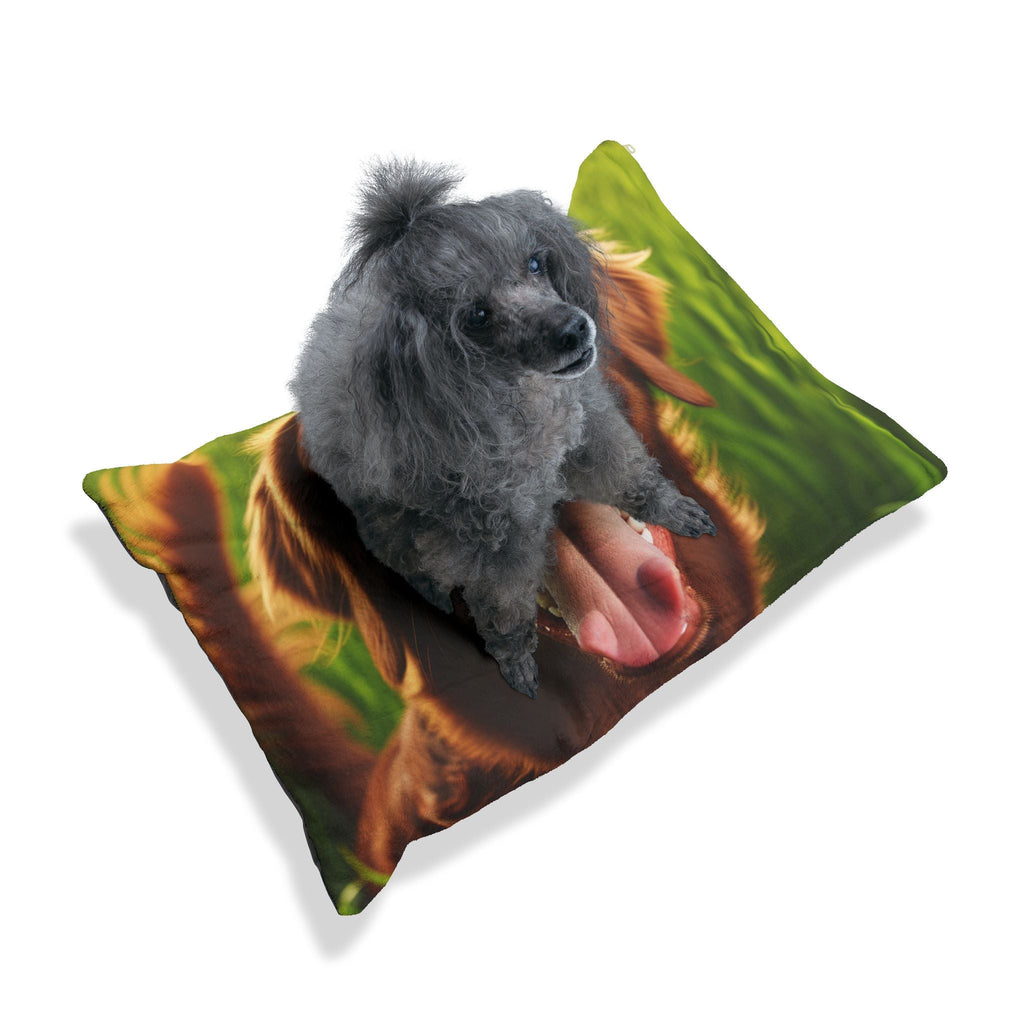 Pet Bed – Plush Dog Bed, 3 Size Options