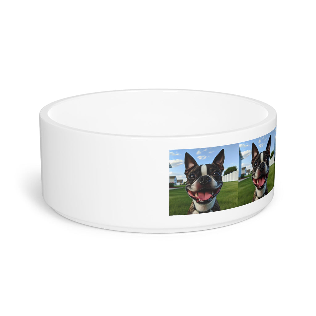 Ceramic Pet Bowl – 16 oz Dog Feeding Bowl