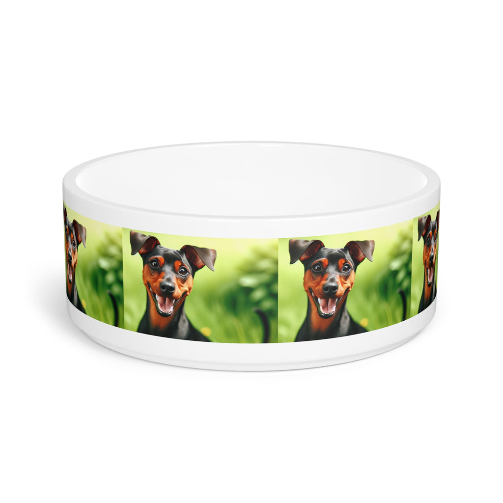 Ceramic Pet Bowl – 16 oz Dog Feeding Bowl