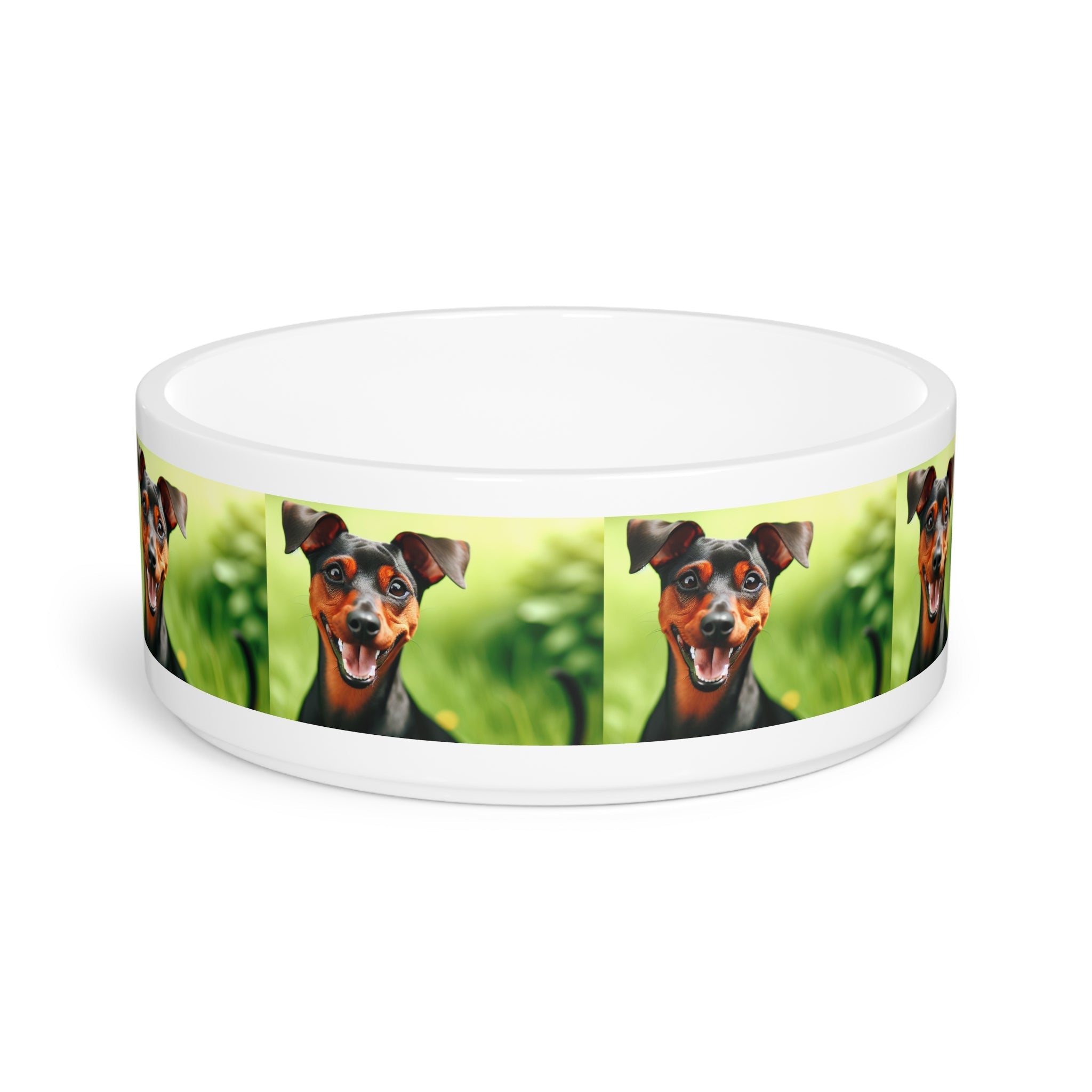 Ceramic Pet Bowl – 16 oz Dog Feeding Bowl