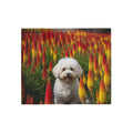 Sweatshirt Blanket – Plush Fleece Throw, 2 Size Options