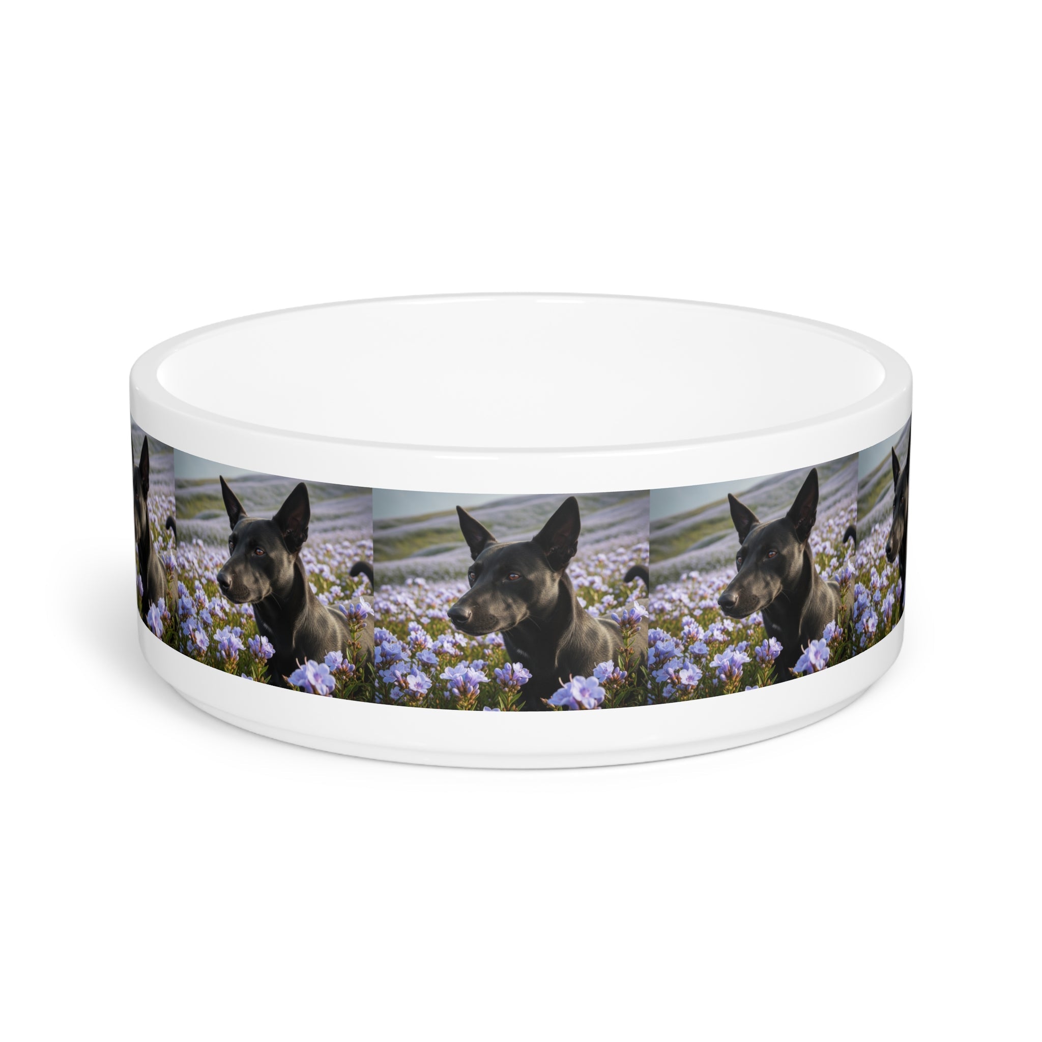 Ceramic Pet Bowl – 16 oz Dog Feeding Bowl