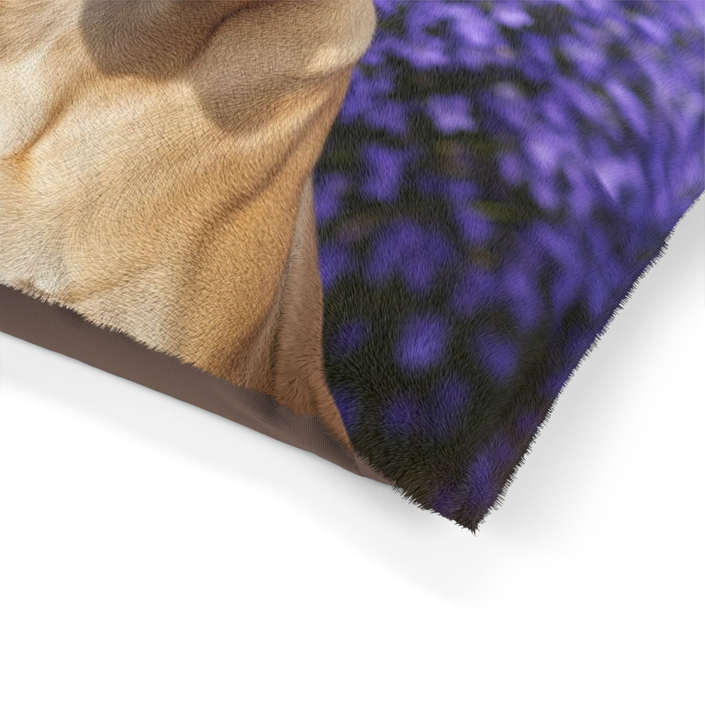 Pet Bed – Plush Dog Bed, 3 Size Options