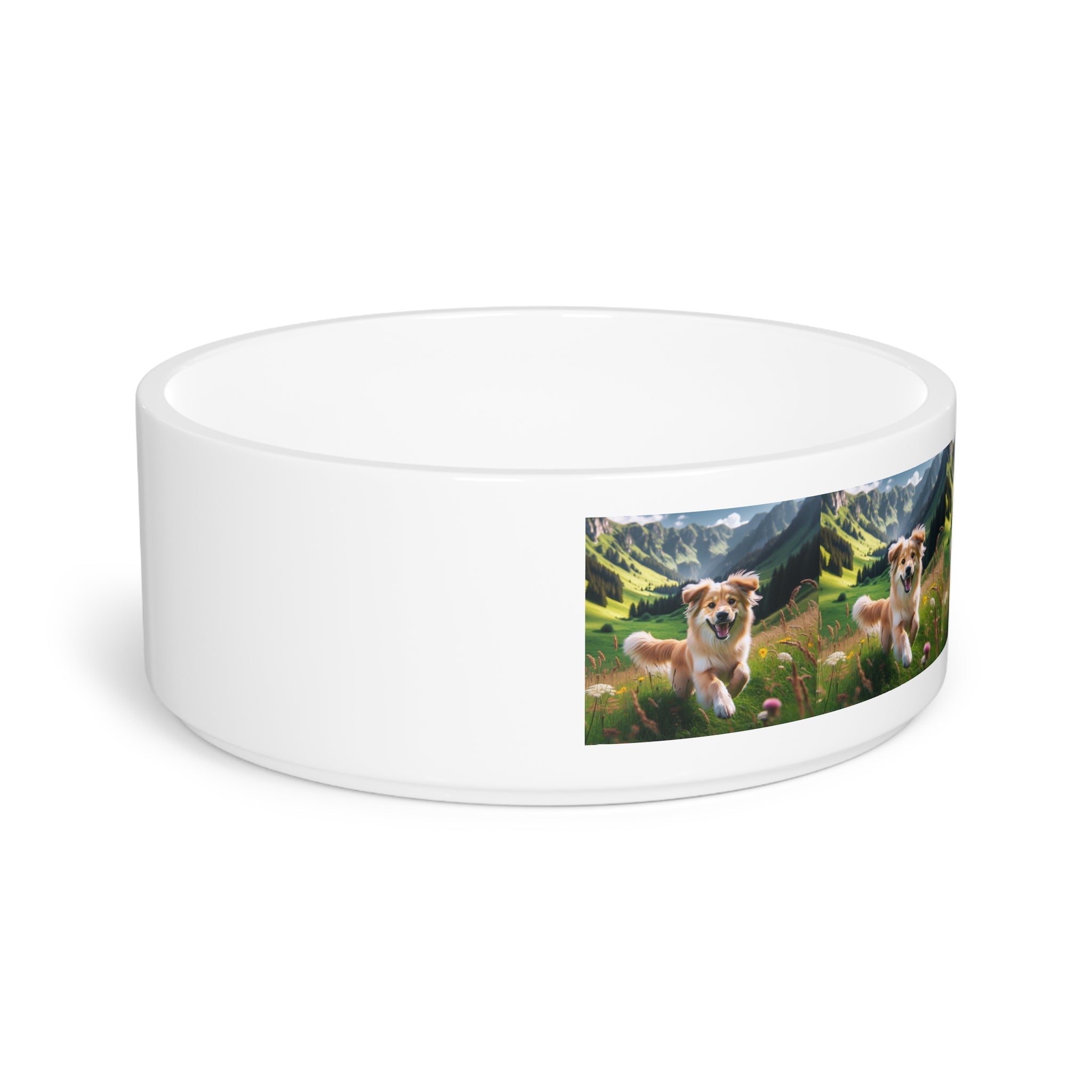 Ceramic Pet Bowl – 16 oz Dog Feeding Bowl