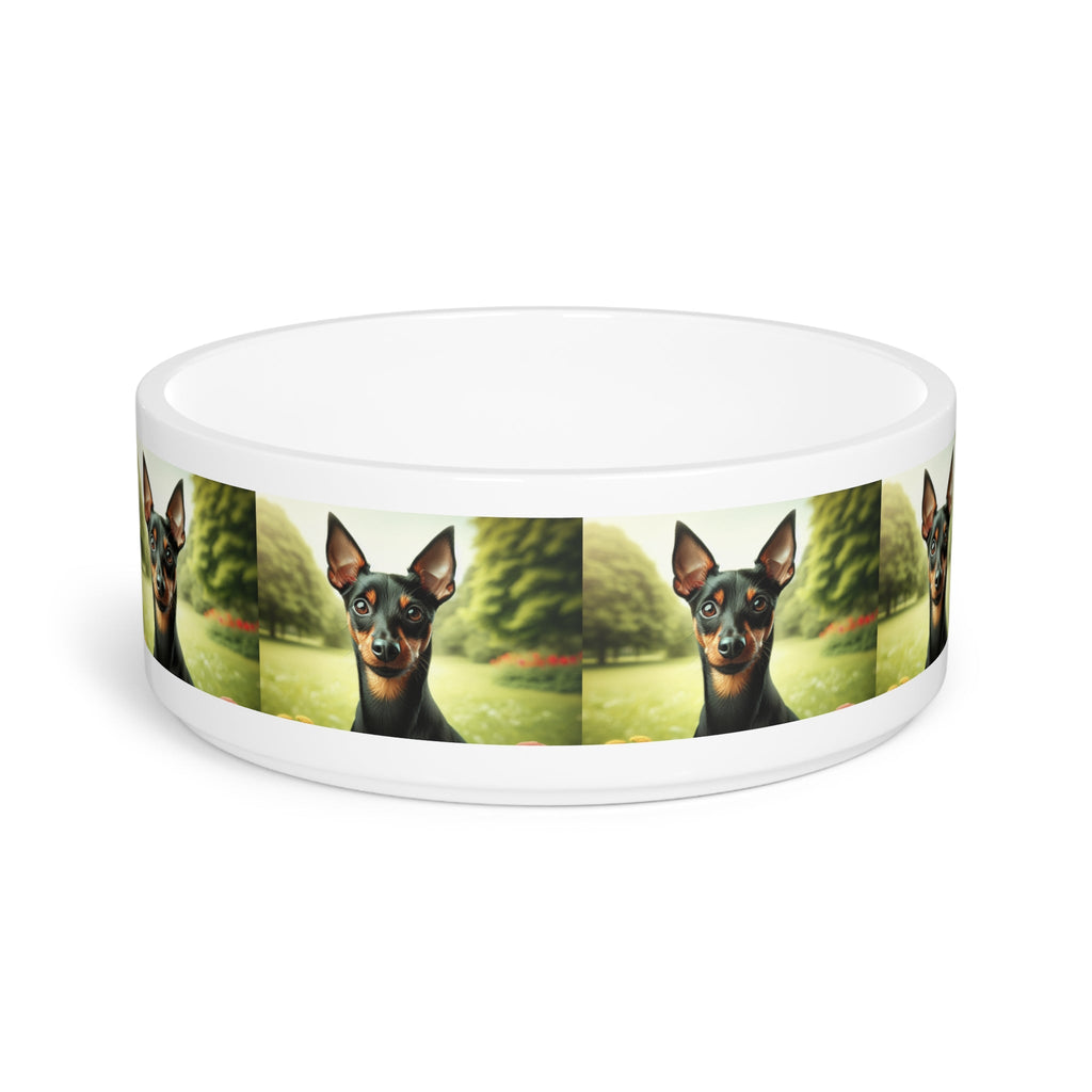 Ceramic Pet Bowl – 16 oz Dog Feeding Bowl