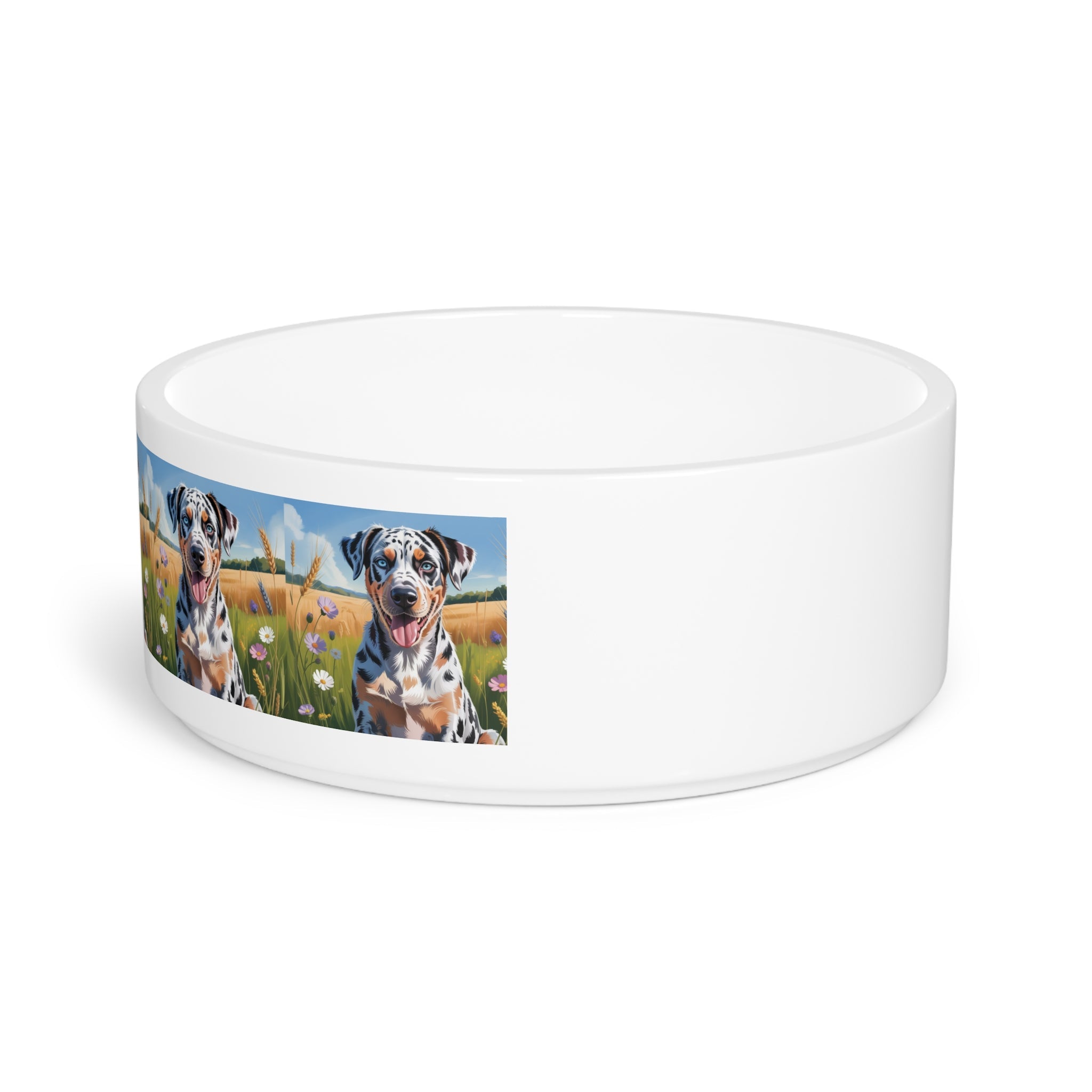 Ceramic Pet Bowl – 16 oz Dog Feeding Bowl
