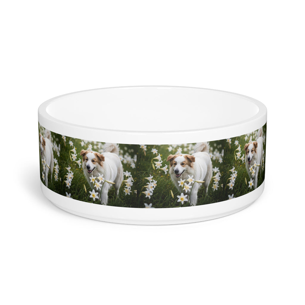 Ceramic Pet Bowl – 16 oz Dog Feeding Bowl