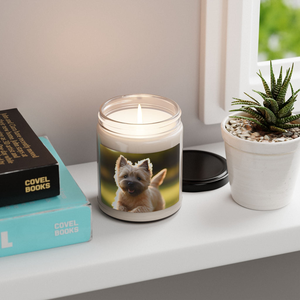 Soy Candle – Scented Jar Candle