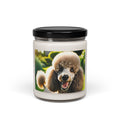 Soy Candle – Scented Jar Candle