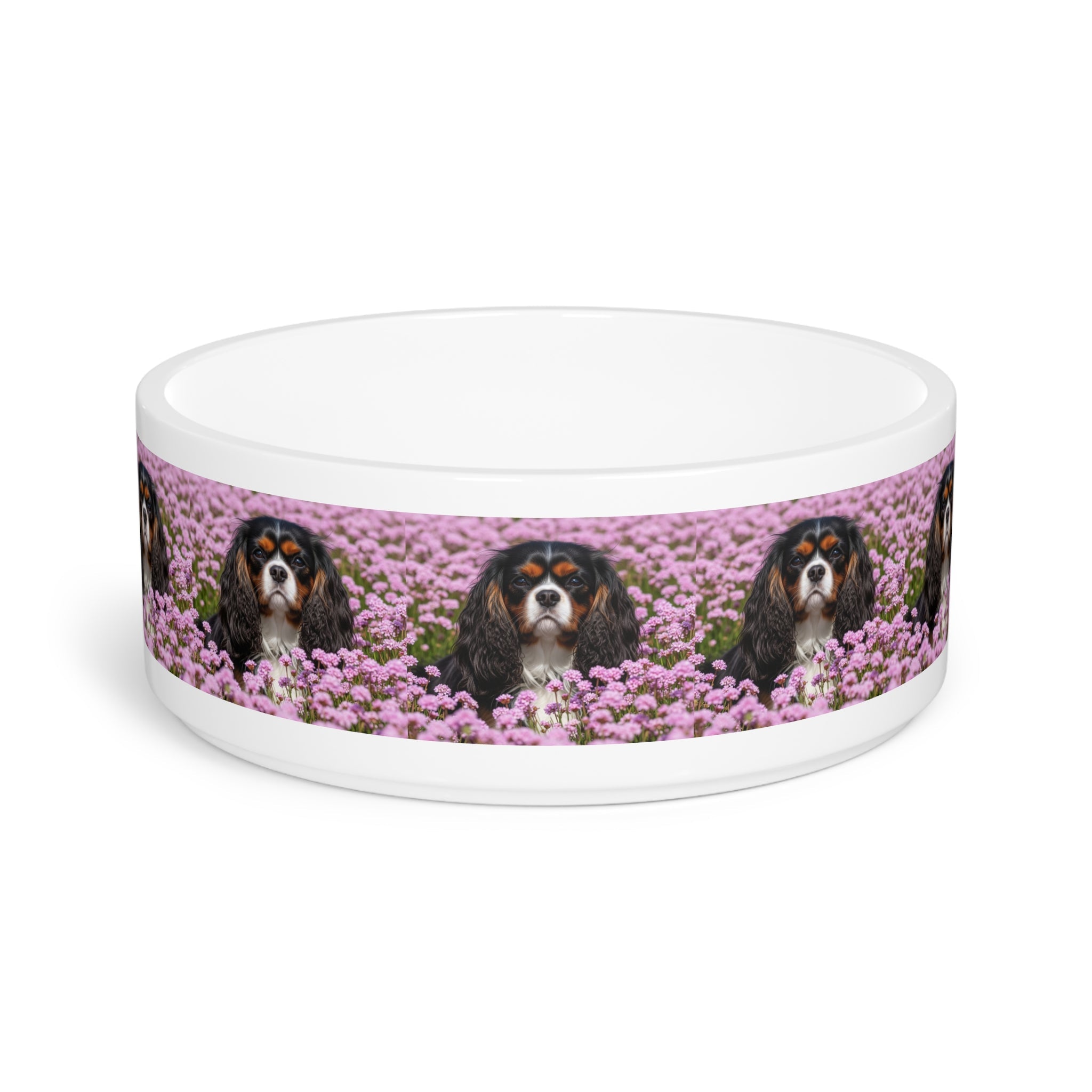 Ceramic Pet Bowl – 16 oz Dog Feeding Bowl