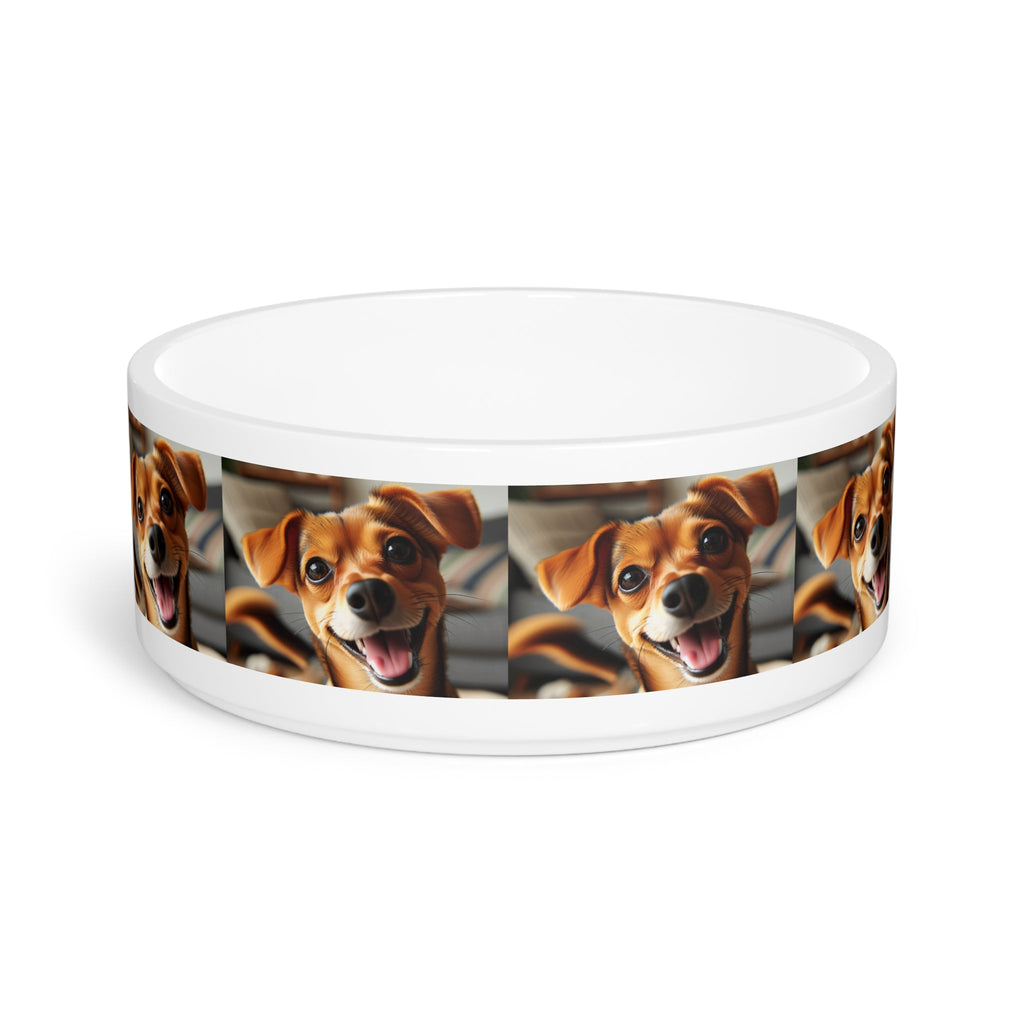 Ceramic Pet Bowl – 16 oz Dog Feeding Bowl