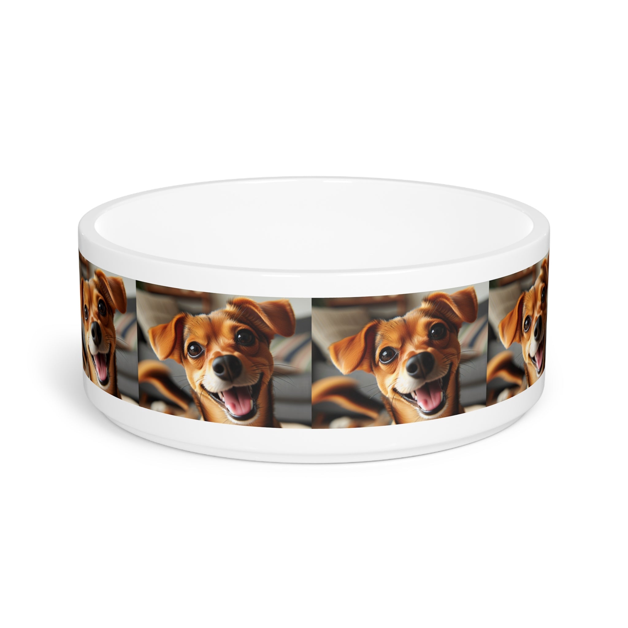Ceramic Pet Bowl – 16 oz Dog Feeding Bowl