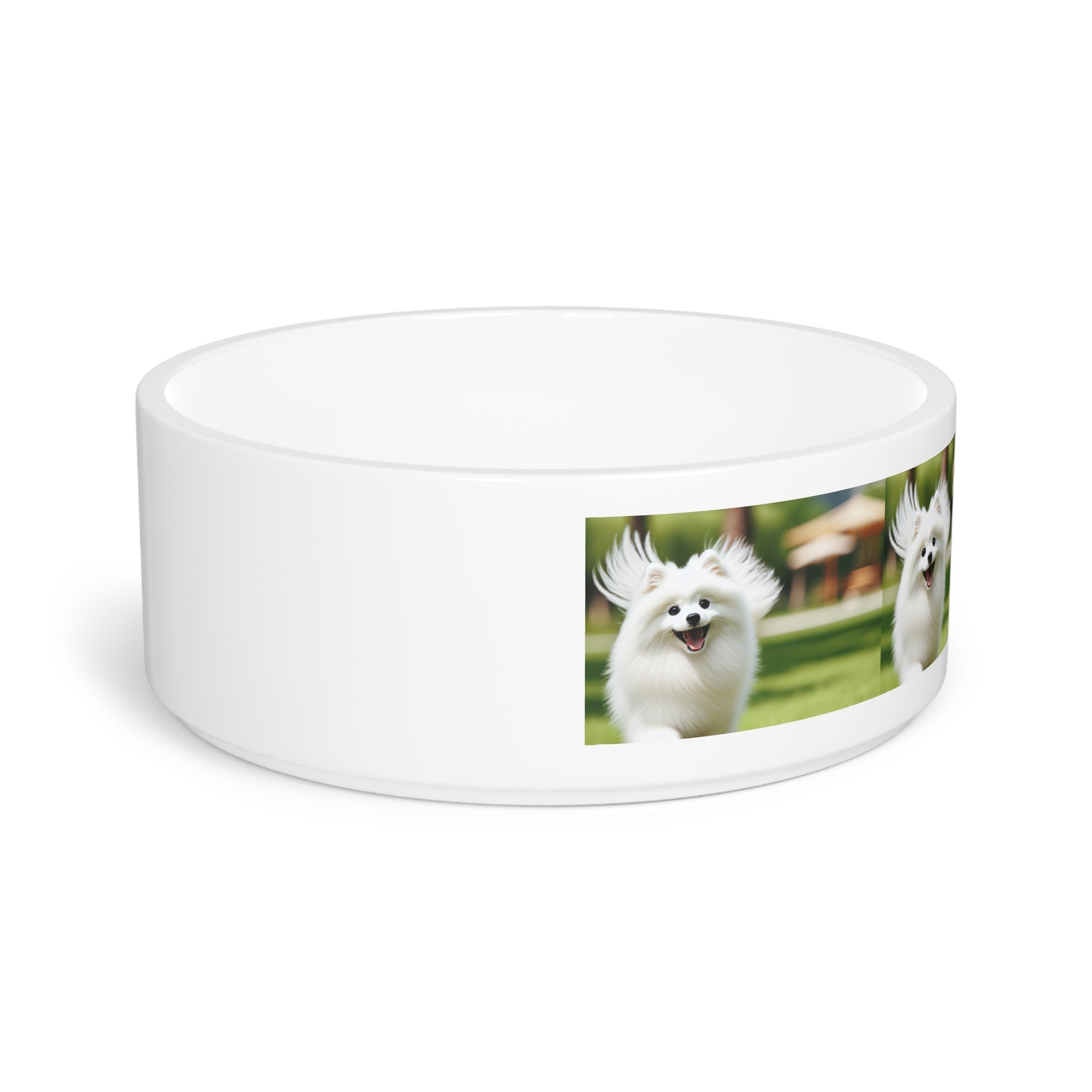 Ceramic Pet Bowl – 16 oz Dog Feeding Bowl