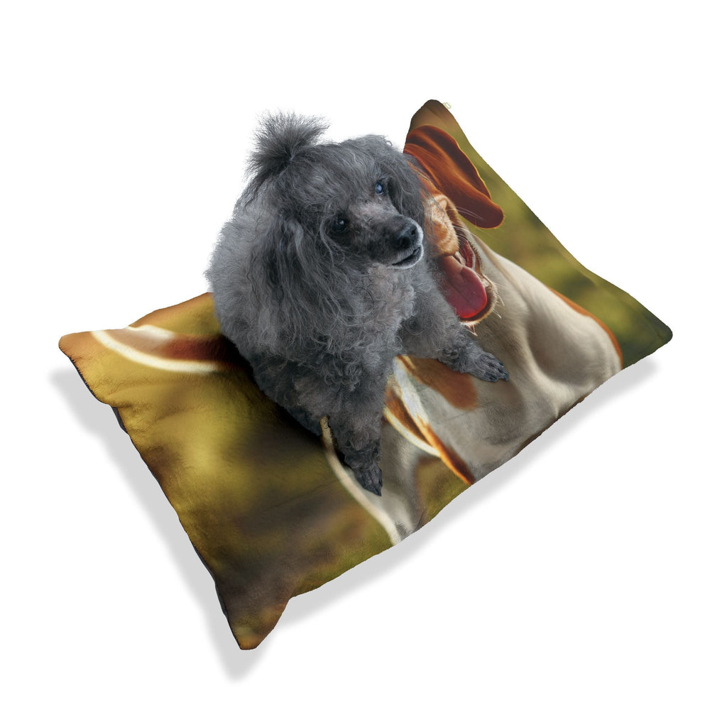 Pet Bed – Plush Dog Bed, 3 Size Options