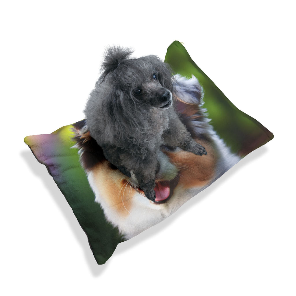 Pet Bed – Plush Dog Bed, 3 Size Options