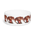 Ceramic Pet Bowl – 16 oz Dog Feeding Bowl