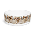 Ceramic Pet Bowl – 16 oz Dog Feeding Bowl