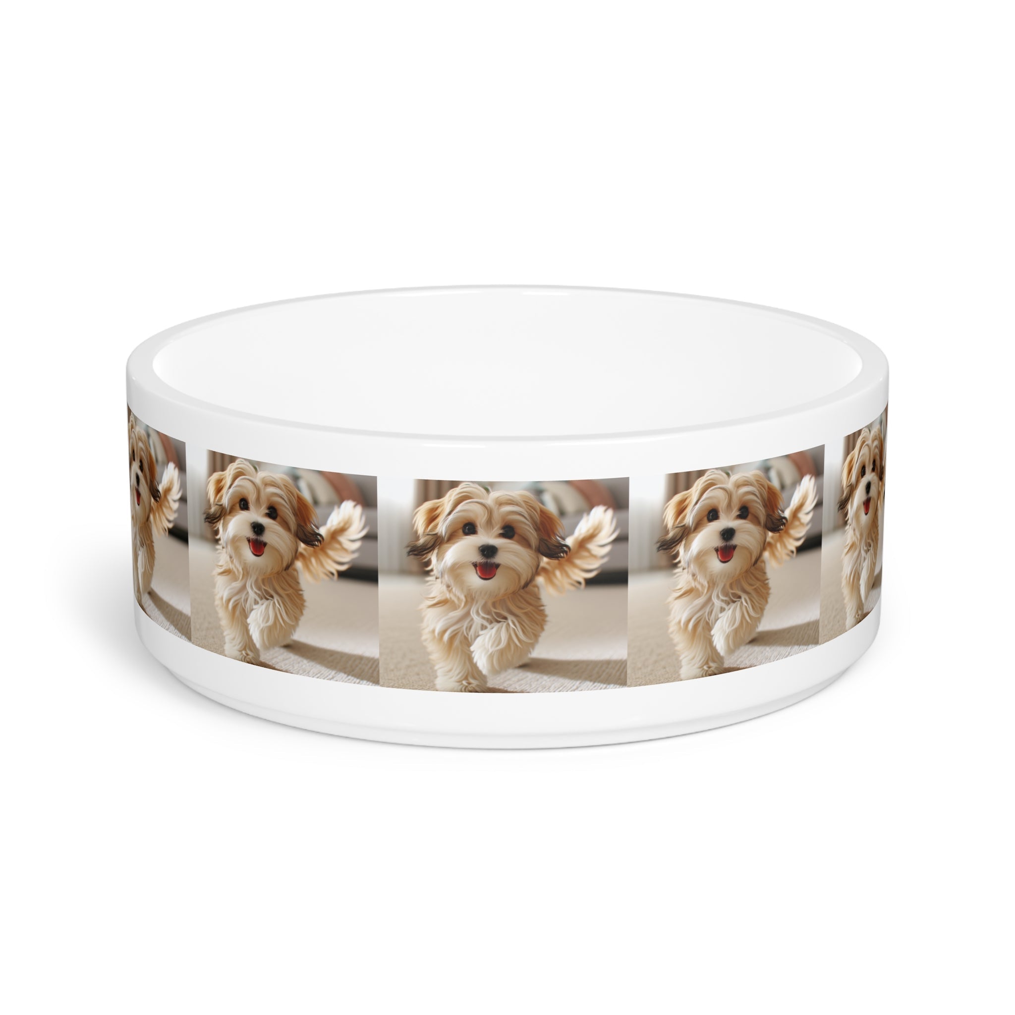 Ceramic Pet Bowl – 16 oz Dog Feeding Bowl