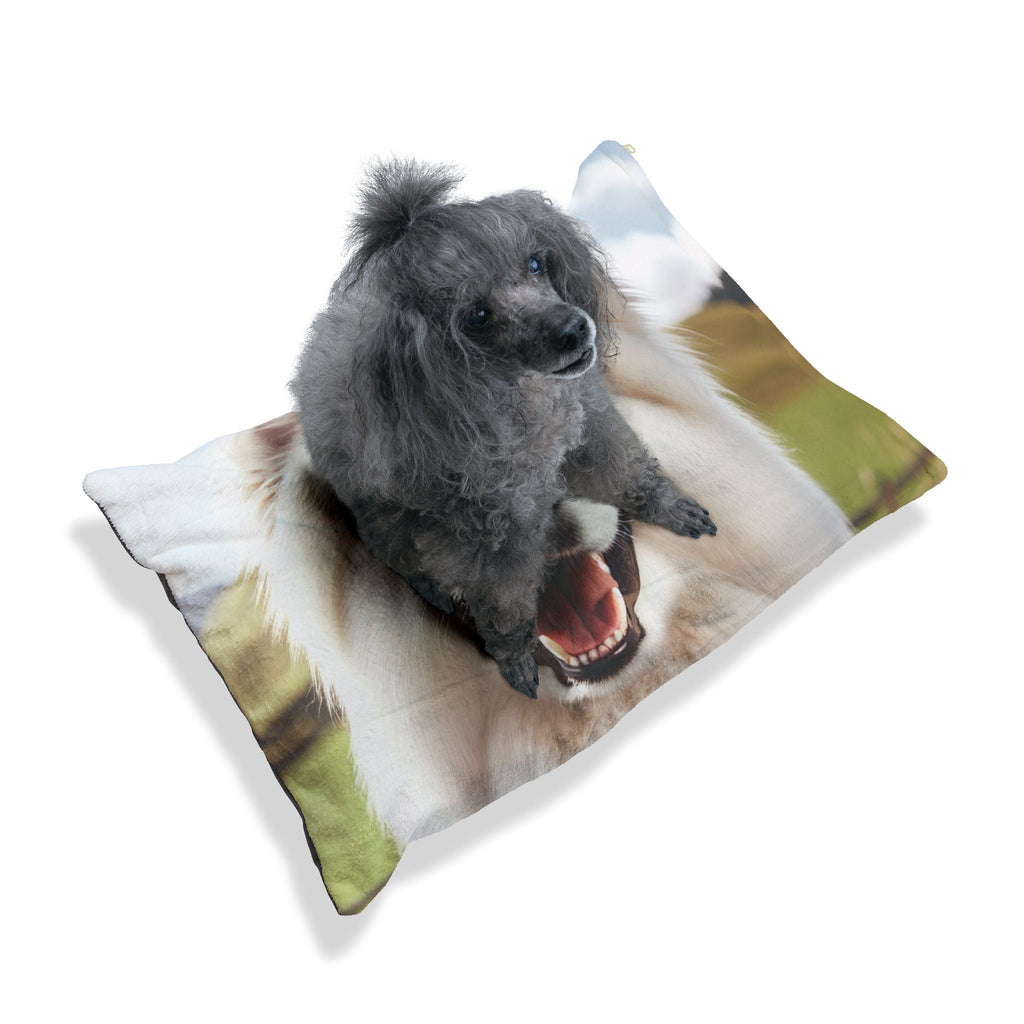 Pet Bed – Plush Dog Bed, 3 Size Options