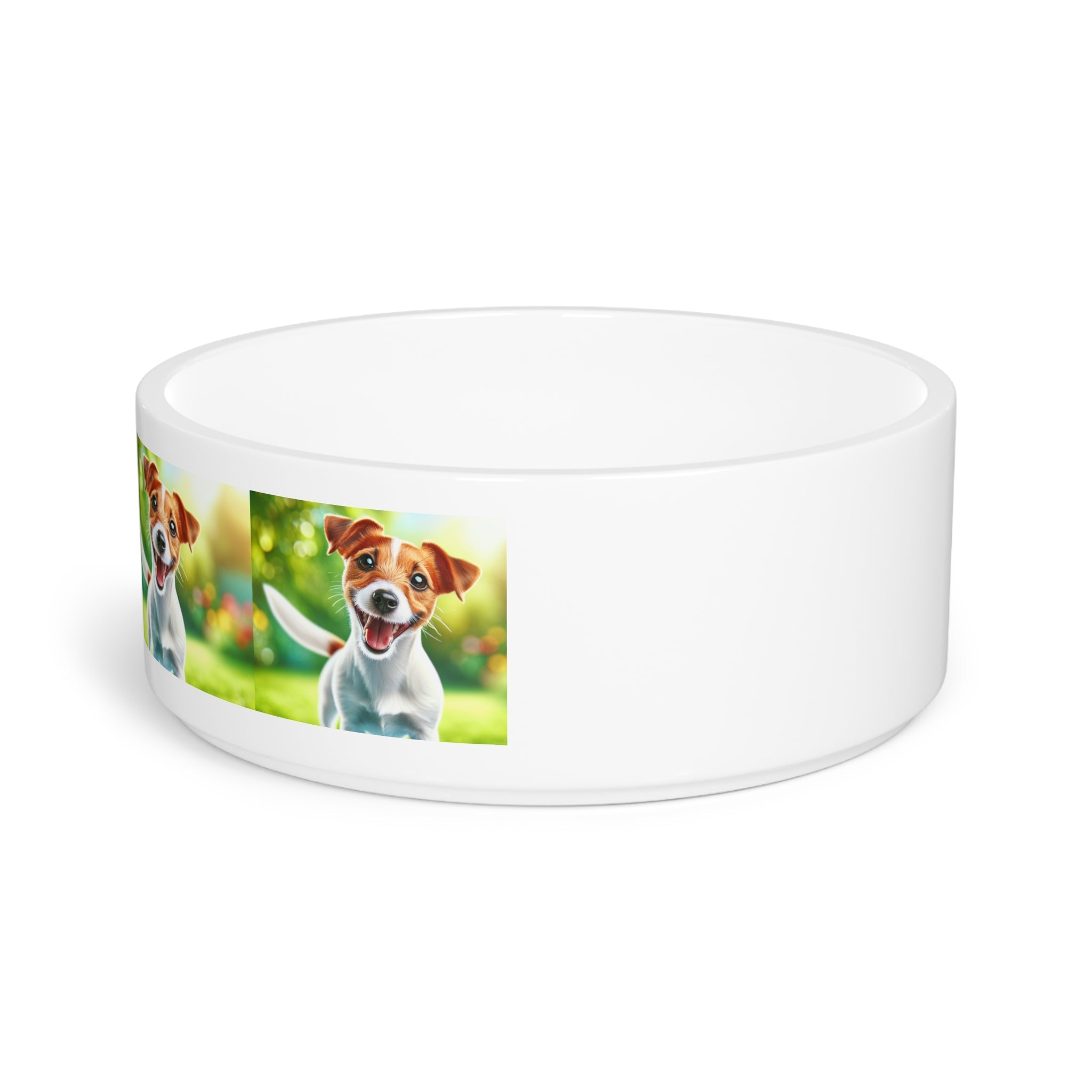 Ceramic Pet Bowl – 16 oz Dog Feeding Bowl