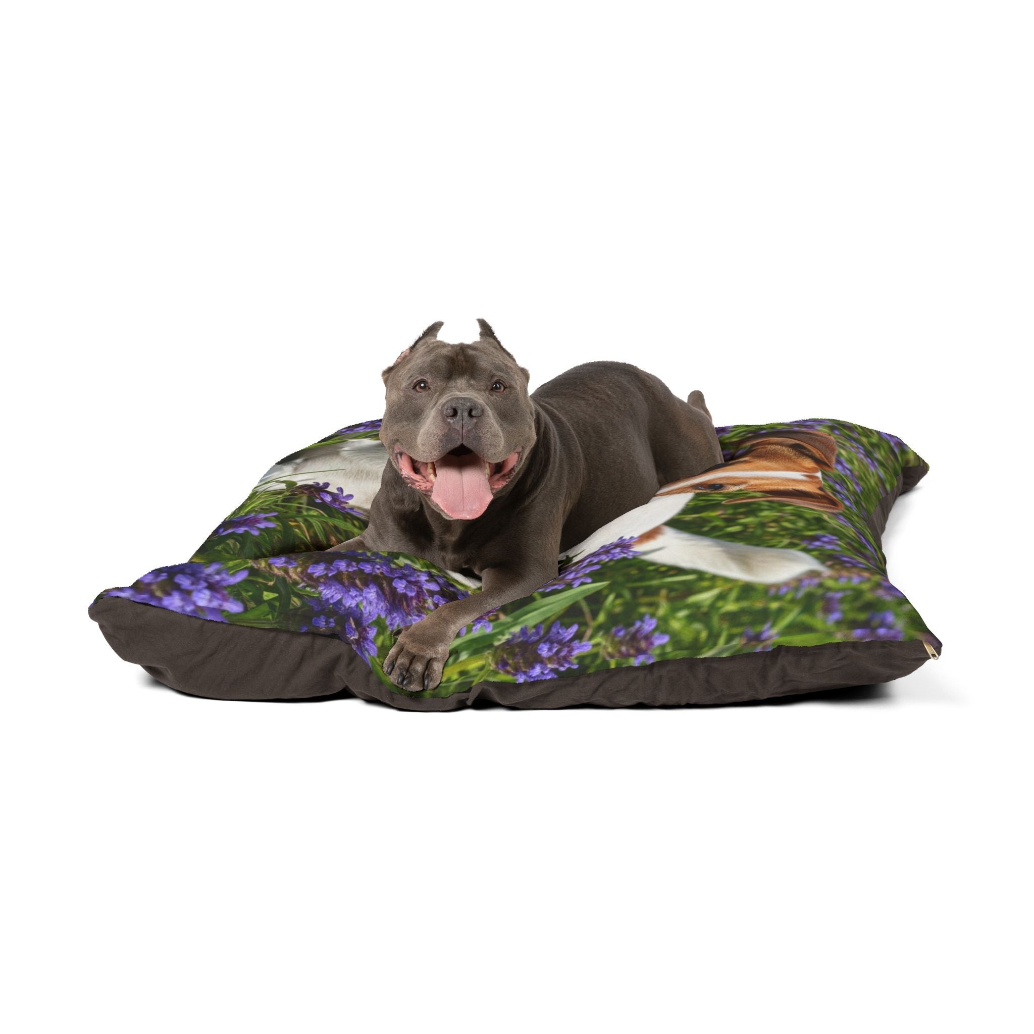Pet Bed – Plush Dog Bed, 3 Size Options