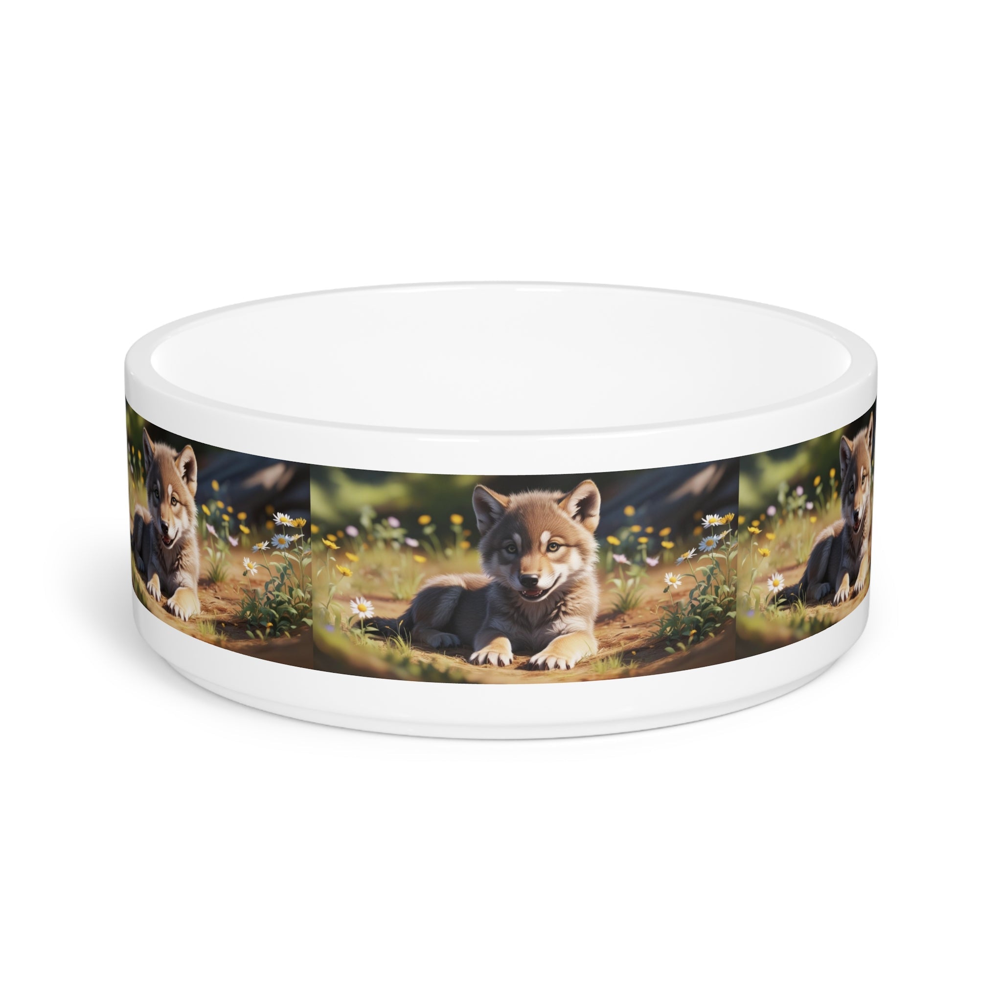 Ceramic Pet Bowl – 16 oz Dog Feeding Bowl