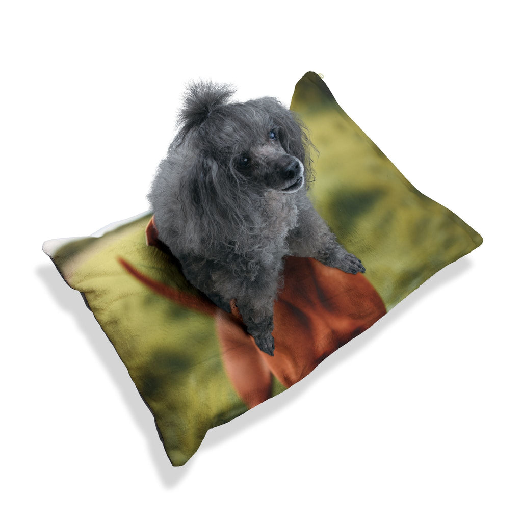 Pet Bed – Plush Dog Bed, 3 Size Options