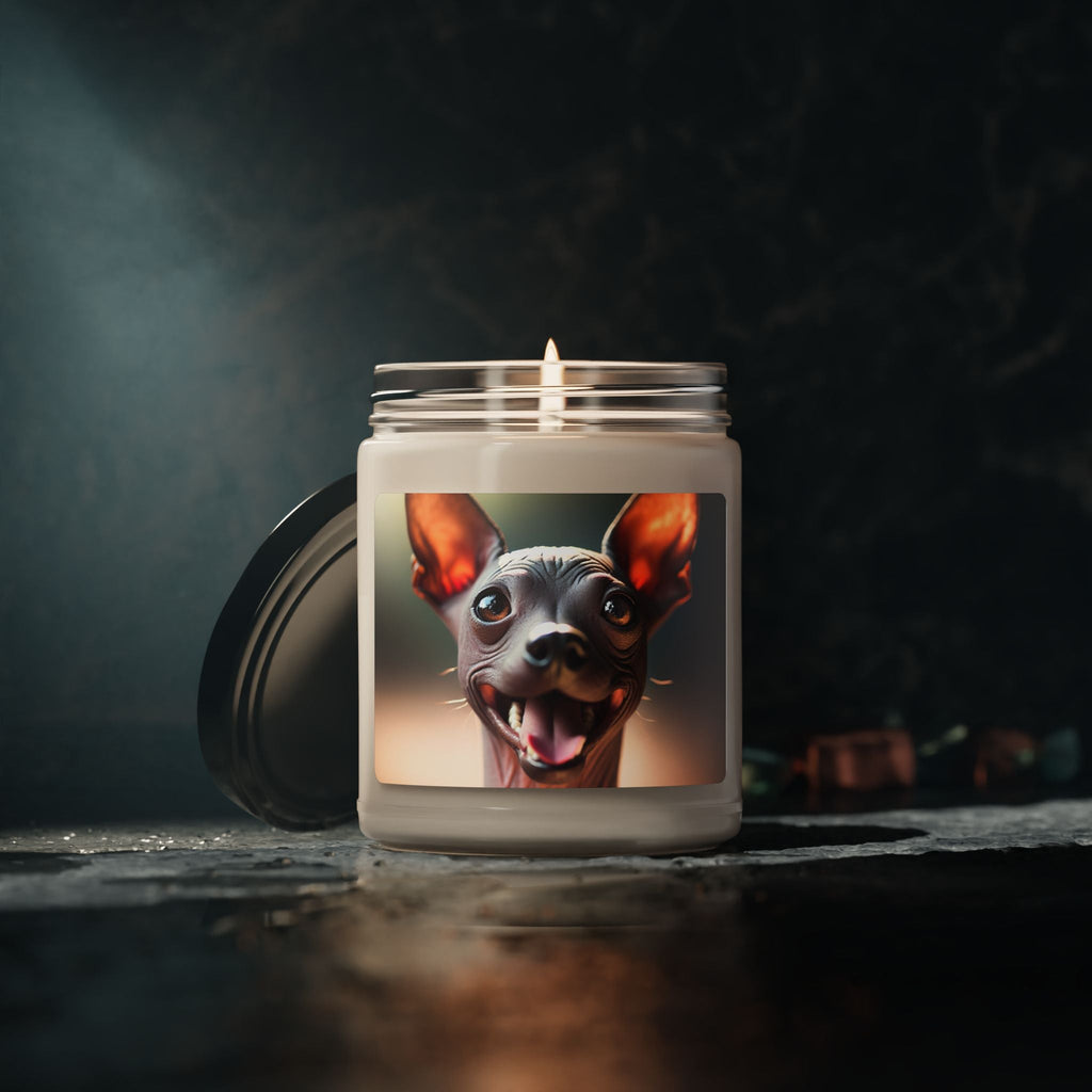 Soy Candle – Scented Jar Candle