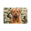 Non-Slip Pet Food Mat – Waterproof Feeding Mat for Dogs