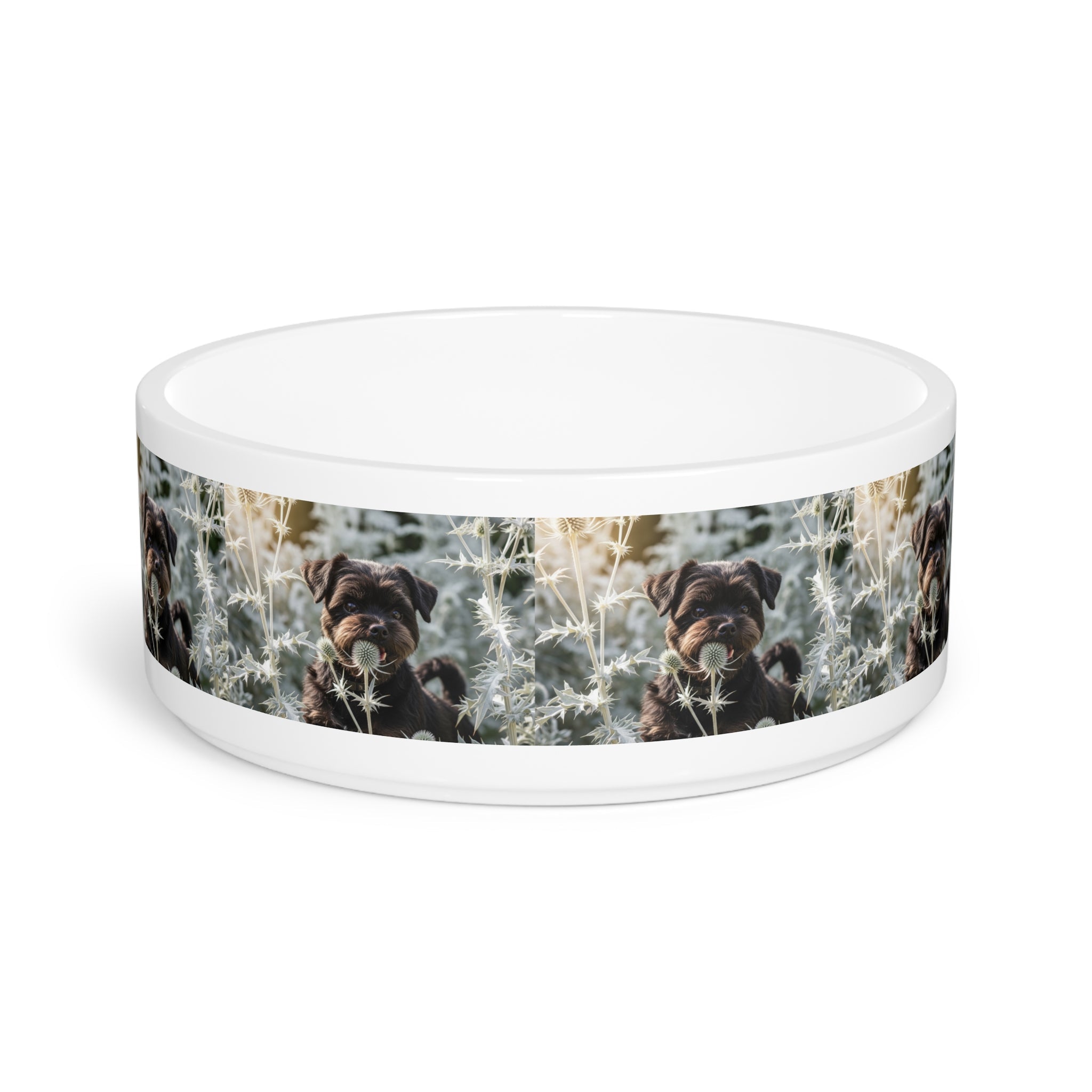 Ceramic Pet Bowl – 16 oz Dog Feeding Bowl