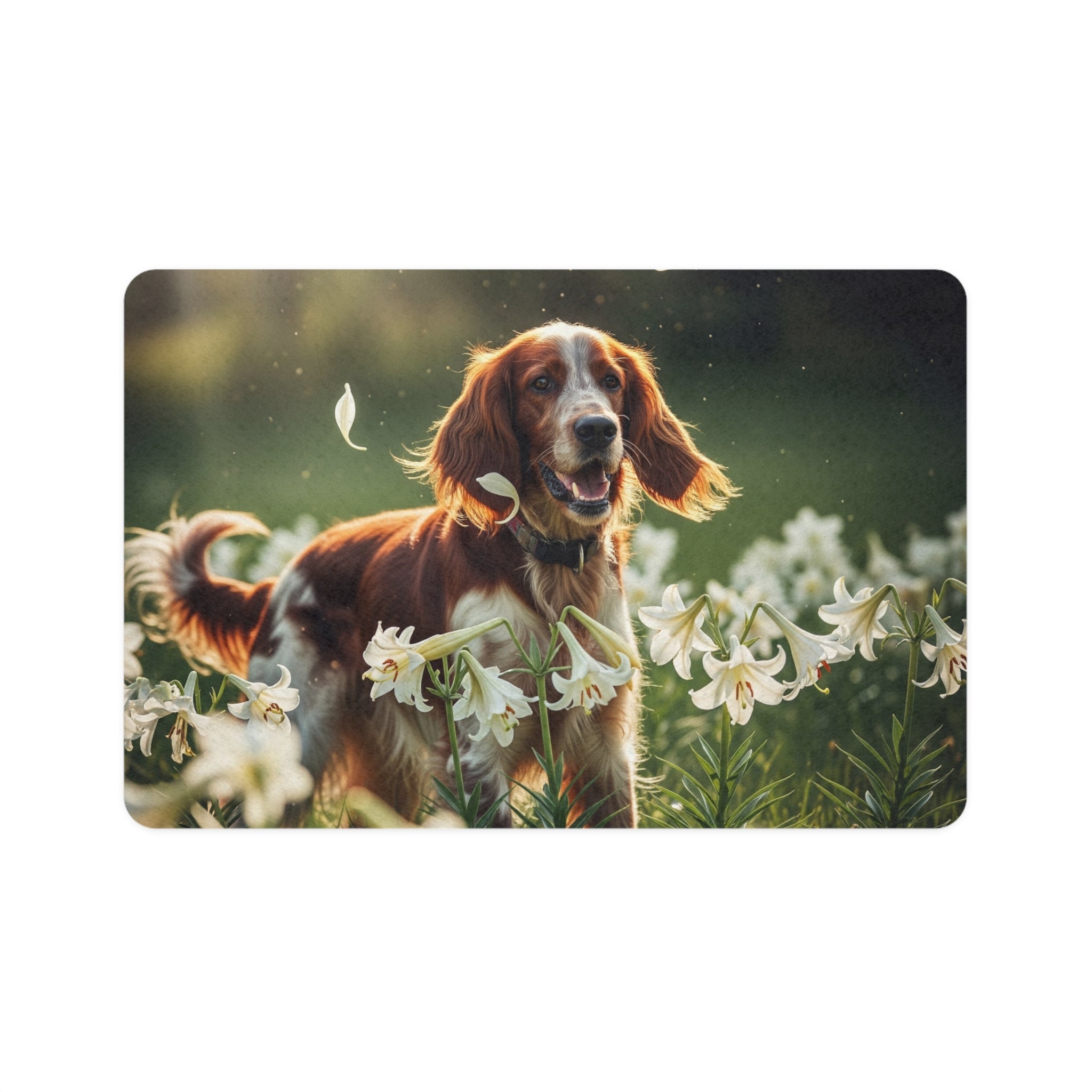 Non-Slip Pet Food Mat – Waterproof Feeding Mat for Dogs