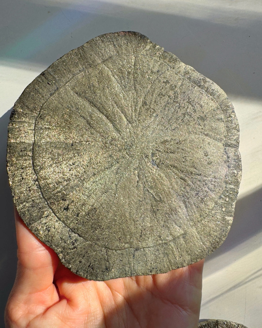 Pyrite Sun