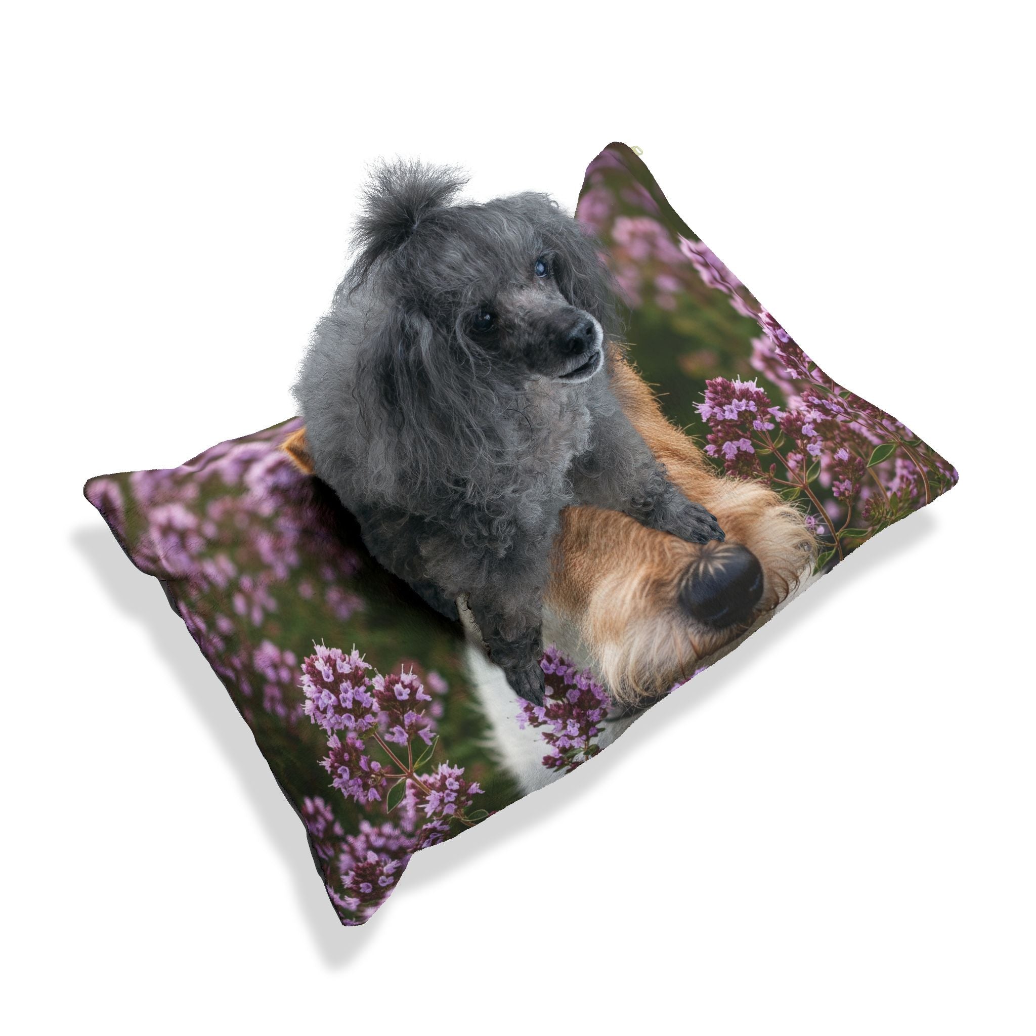 Pet Bed – Plush Dog Bed, 3 Size Options