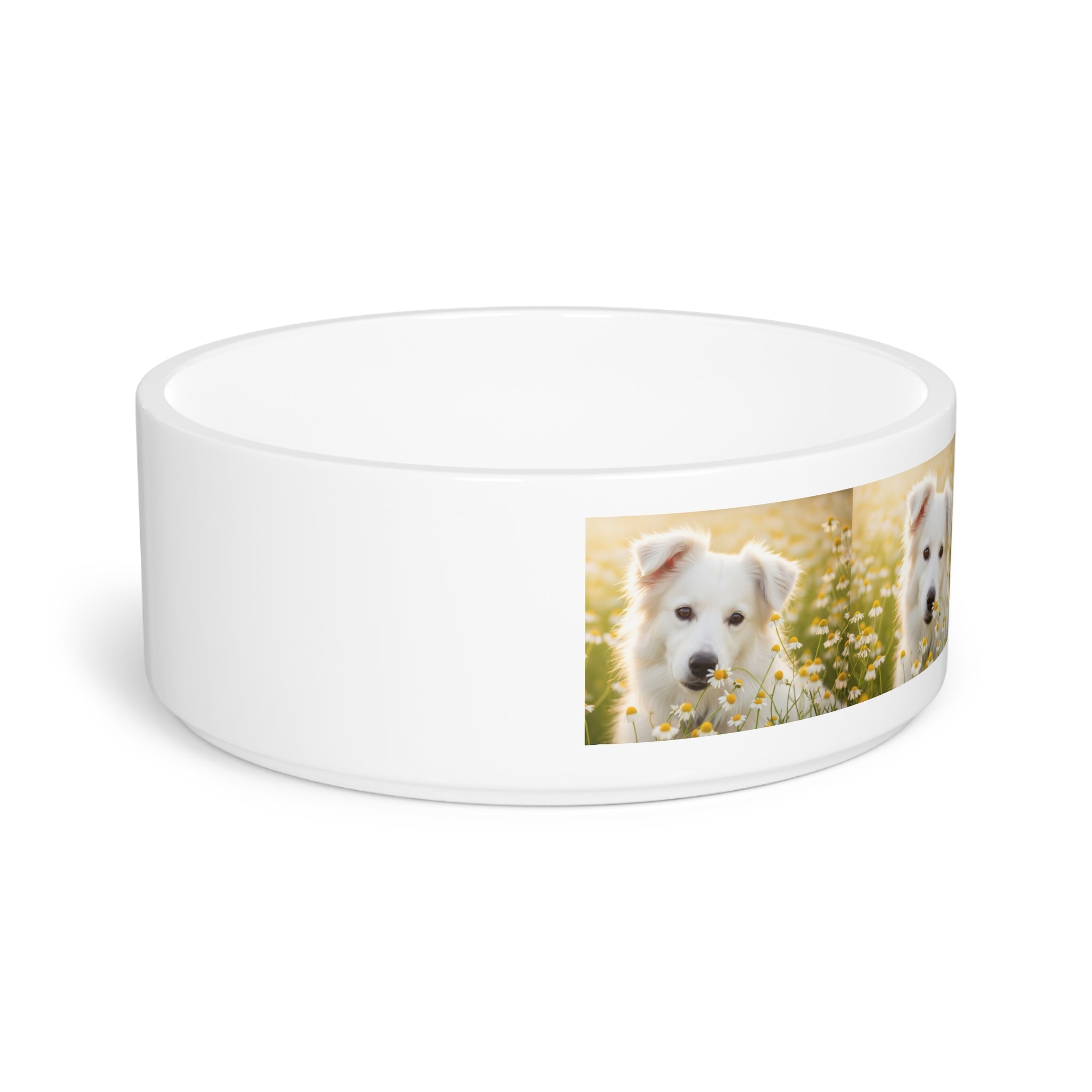 Ceramic Pet Bowl – 16 oz Dog Feeding Bowl