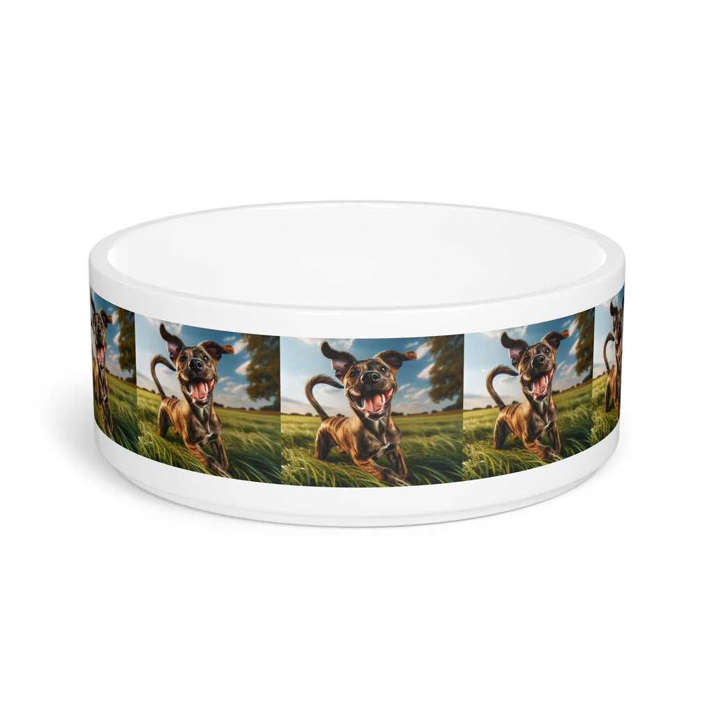 Ceramic Pet Bowl – 16 oz Dog Feeding Bowl
