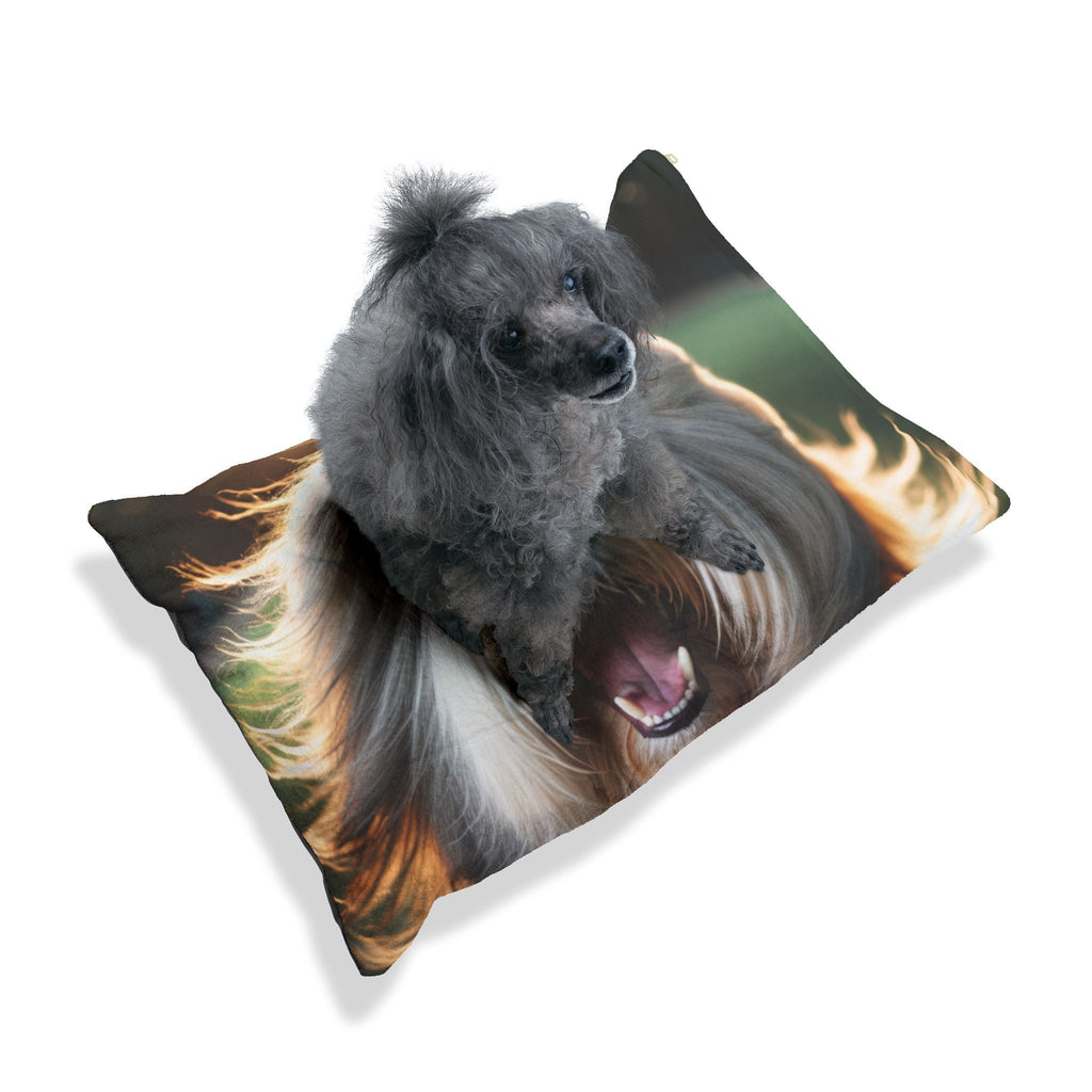 Pet Bed – Plush Dog Bed, 3 Size Options