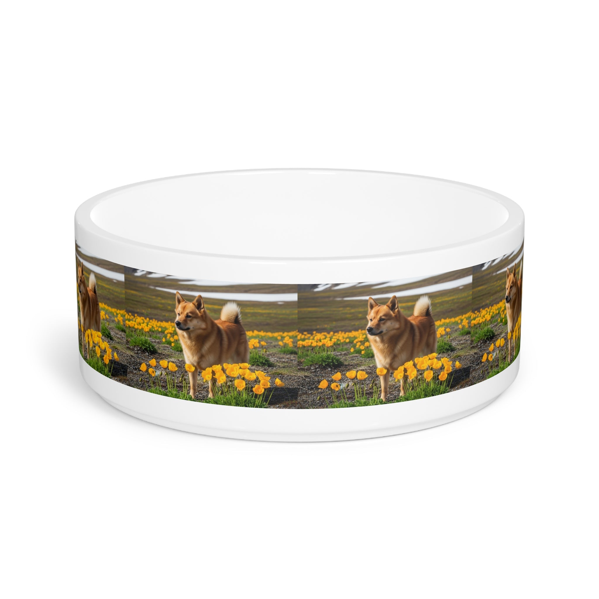 Ceramic Pet Bowl – 16 oz Dog Feeding Bowl