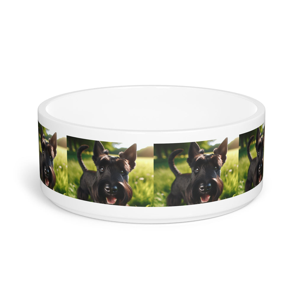 Ceramic Pet Bowl – 16 oz Dog Feeding Bowl