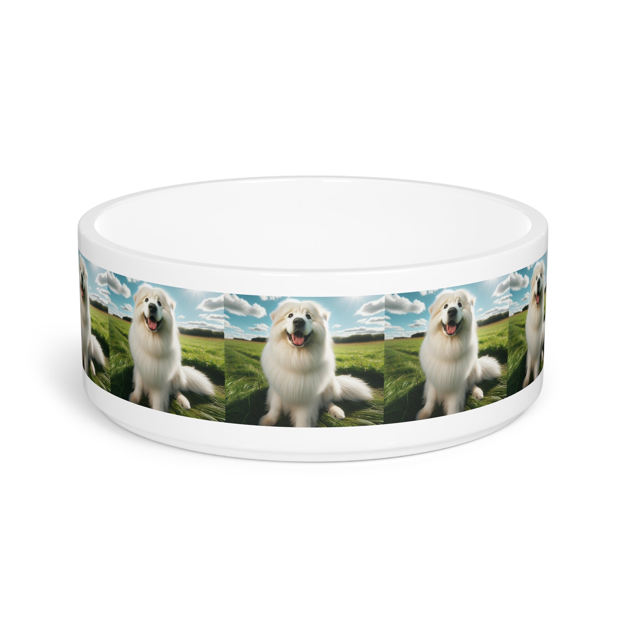 Ceramic Pet Bowl – 16 oz Dog Feeding Bowl