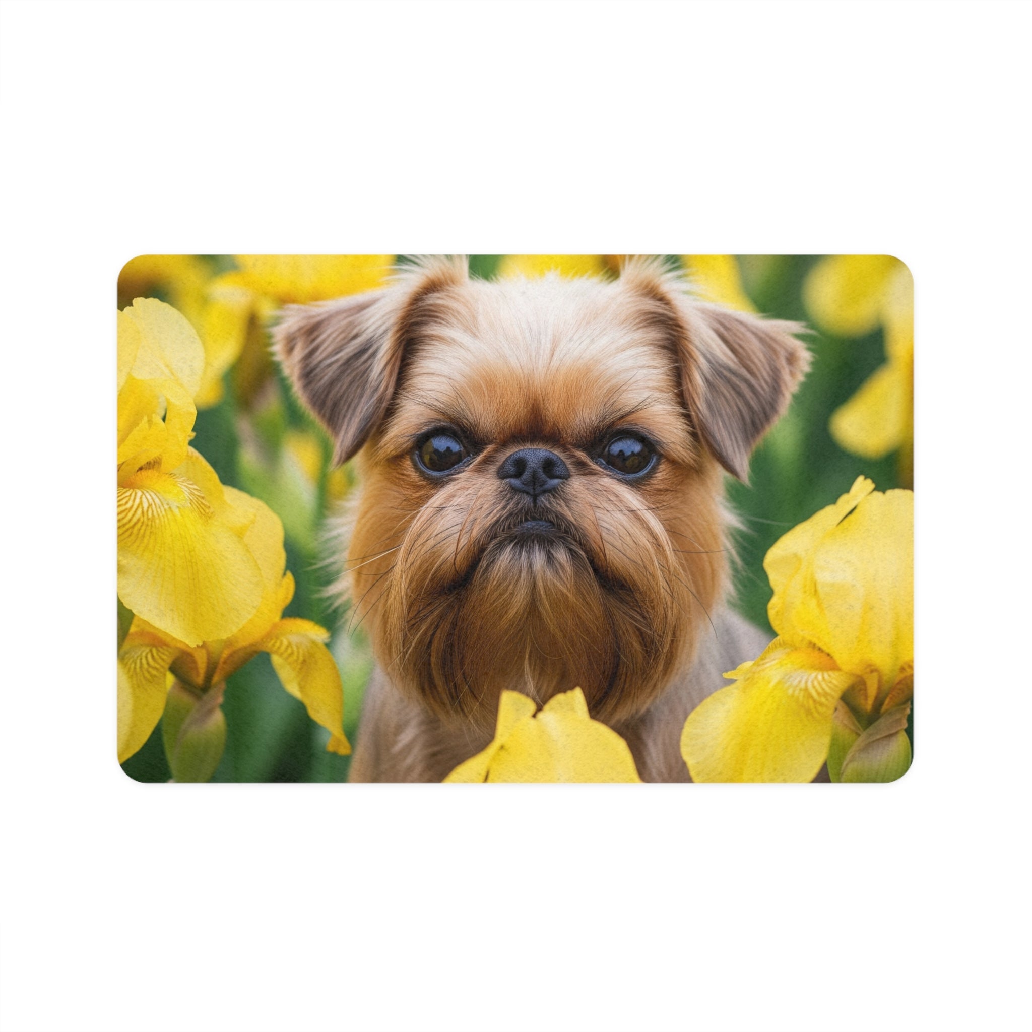 Non-Slip Pet Food Mat – Waterproof Feeding Mat for Dogs
