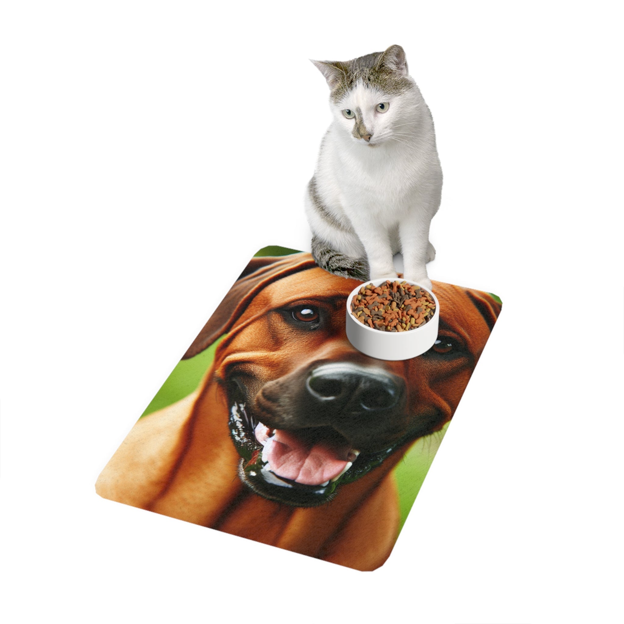 Non-Slip Pet Food Mat – Waterproof Feeding Mat for Dogs
