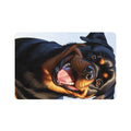 Non-Slip Pet Food Mat – Waterproof Feeding Mat for Dogs
