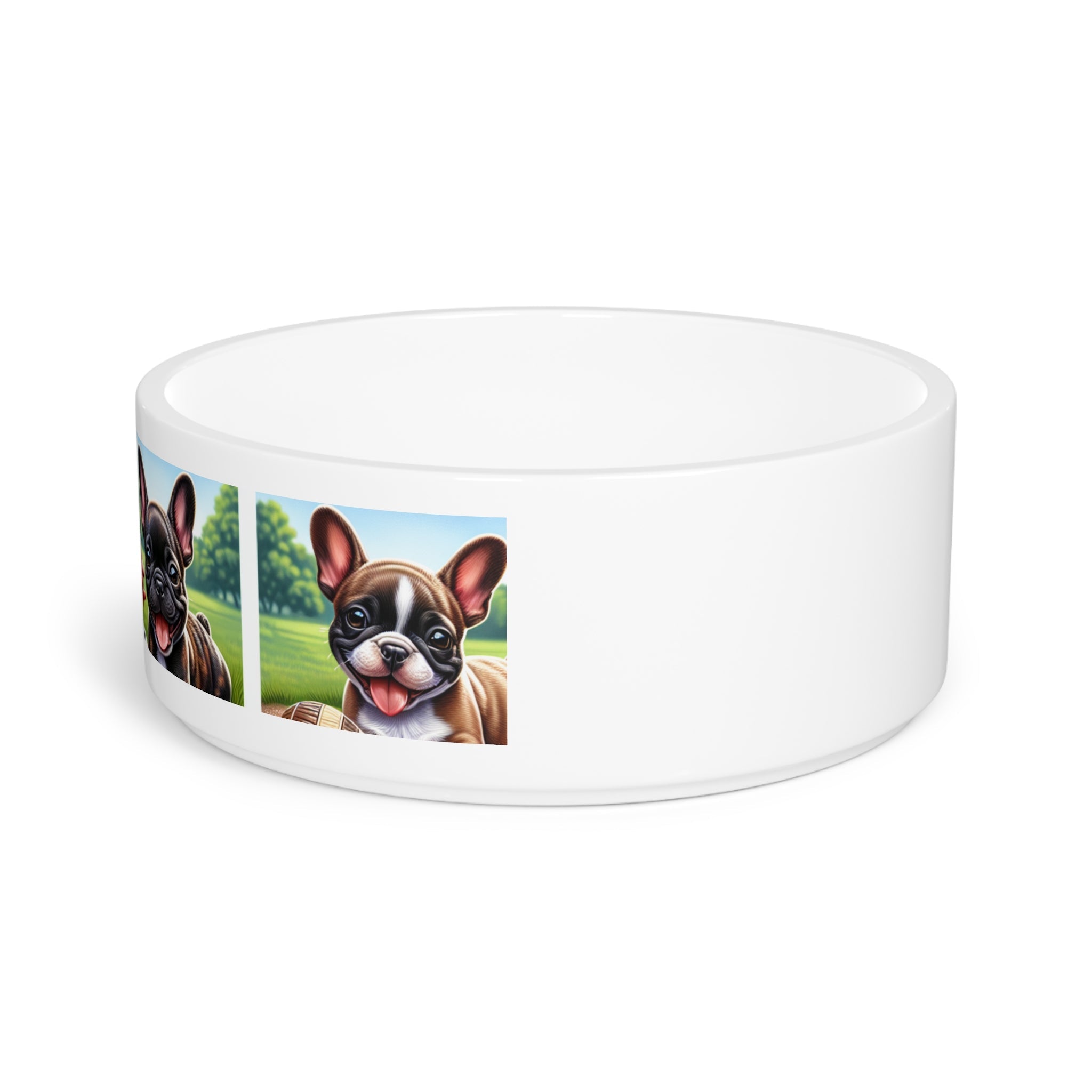 Ceramic Pet Bowl – 16 oz Dog Feeding Bowl