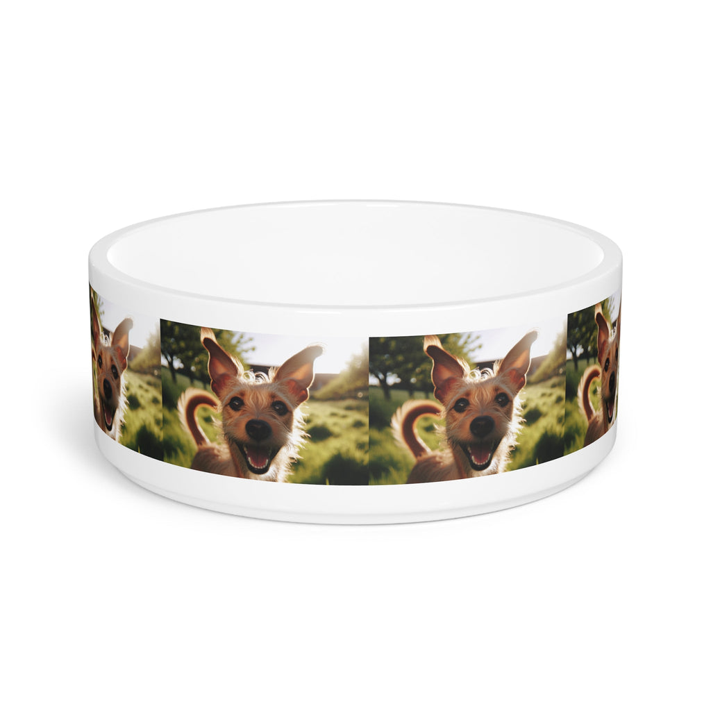 Ceramic Pet Bowl – 16 oz Dog Feeding Bowl